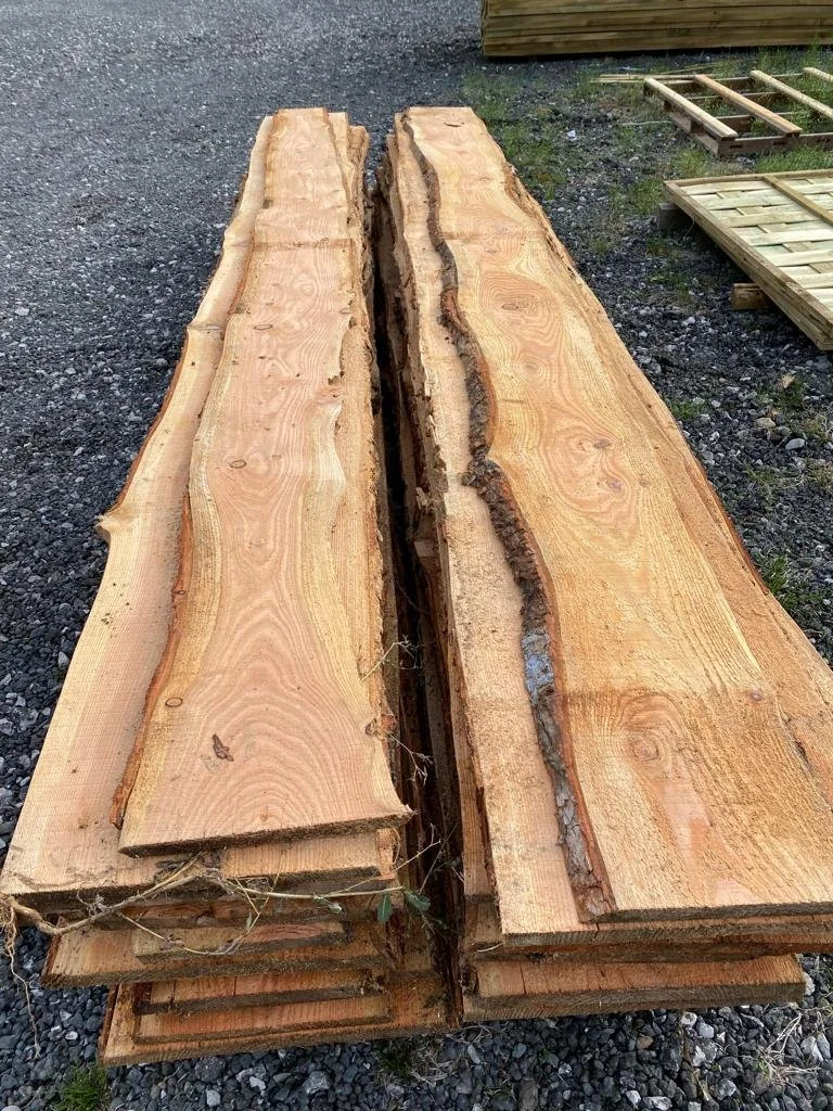 1f5a24a3-f660-4eaf-90fd-2d9bb7d6a29a (1).JPG