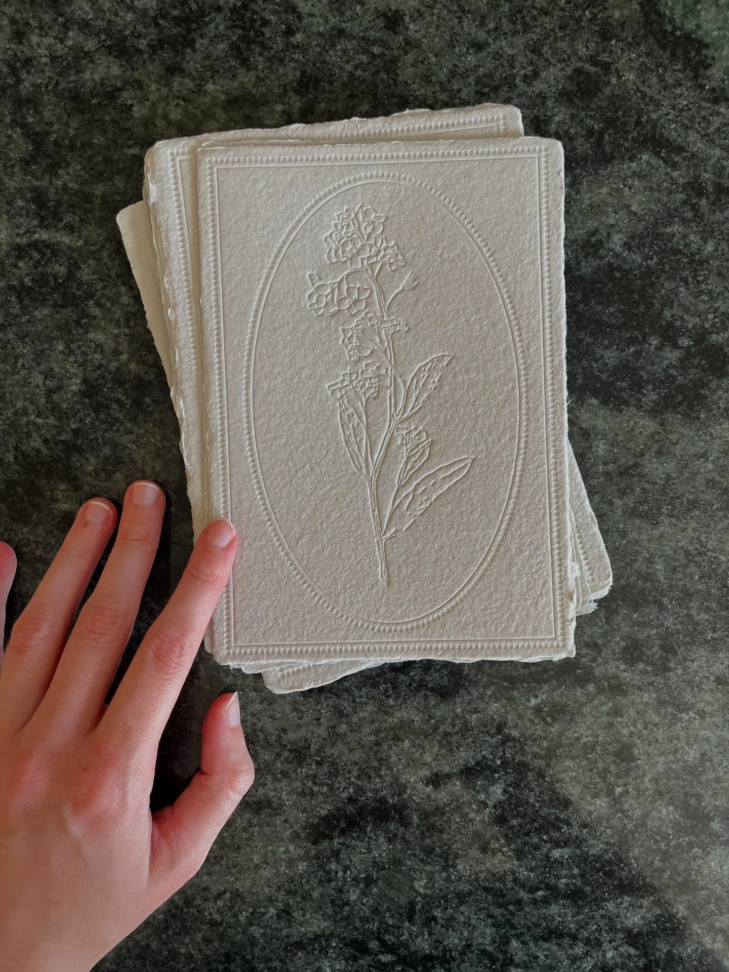 Forget-Me-Not blind debossed on handmade paper: a perfect base for some old-world wedding invitations inspired by antique botanical prints.

I&rsquo;ve been busy in the background the past few months on some exciting changes to B&amp;H. Coming soon i