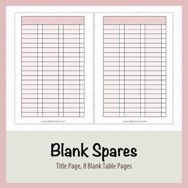 Blank Spares - Pink.jpeg