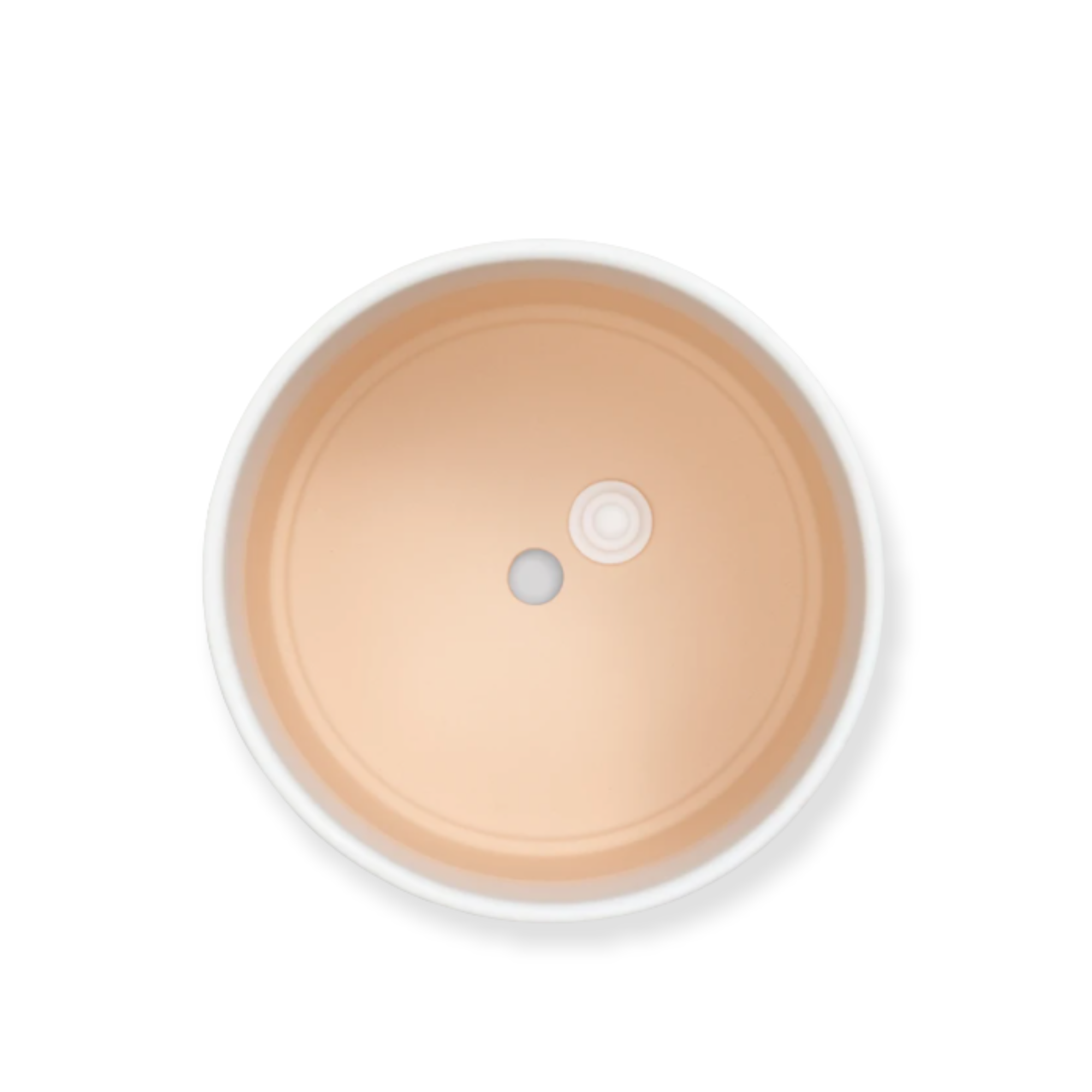 P&P Egg Interior.PNG