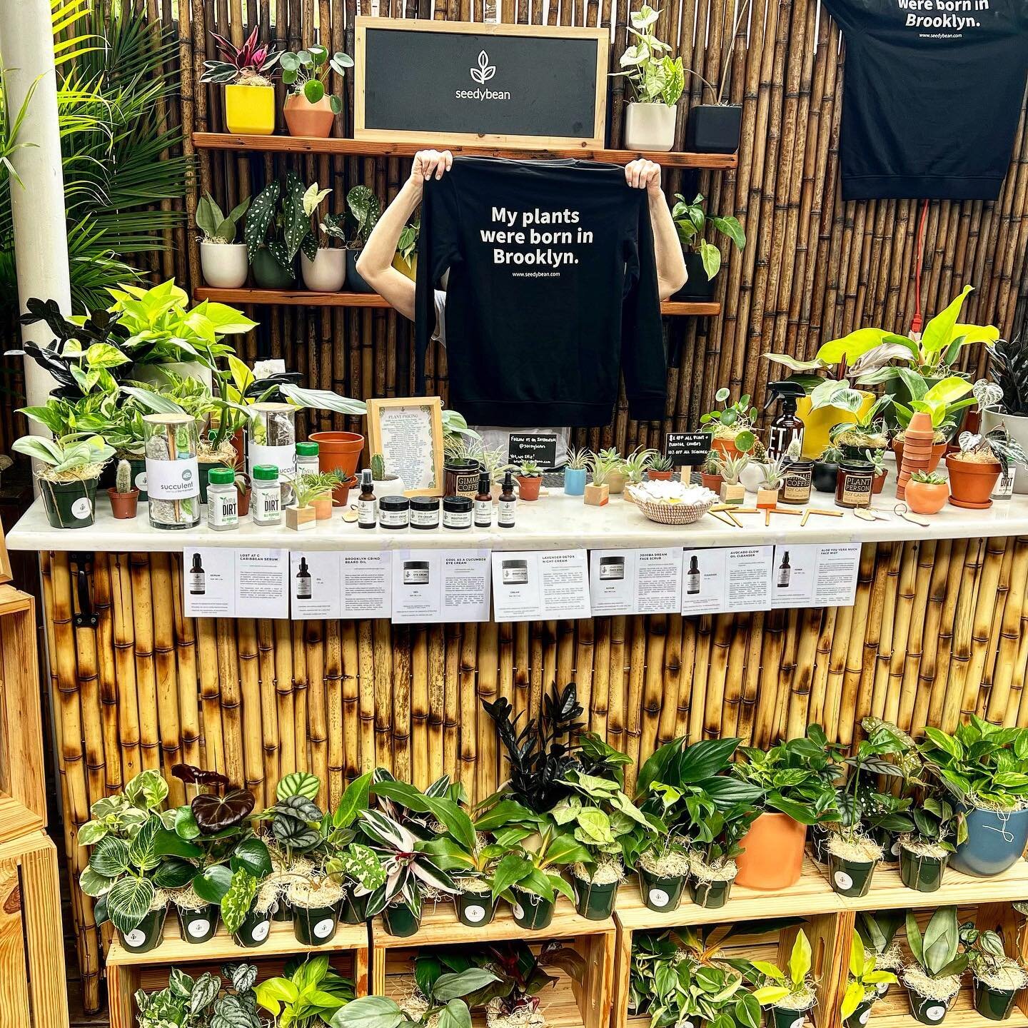 We&rsquo;re your plants born in Brooklyn? Stop by @midnightsbrooklyn and come stock up on plants and more! Going strong until 7PM 🪴