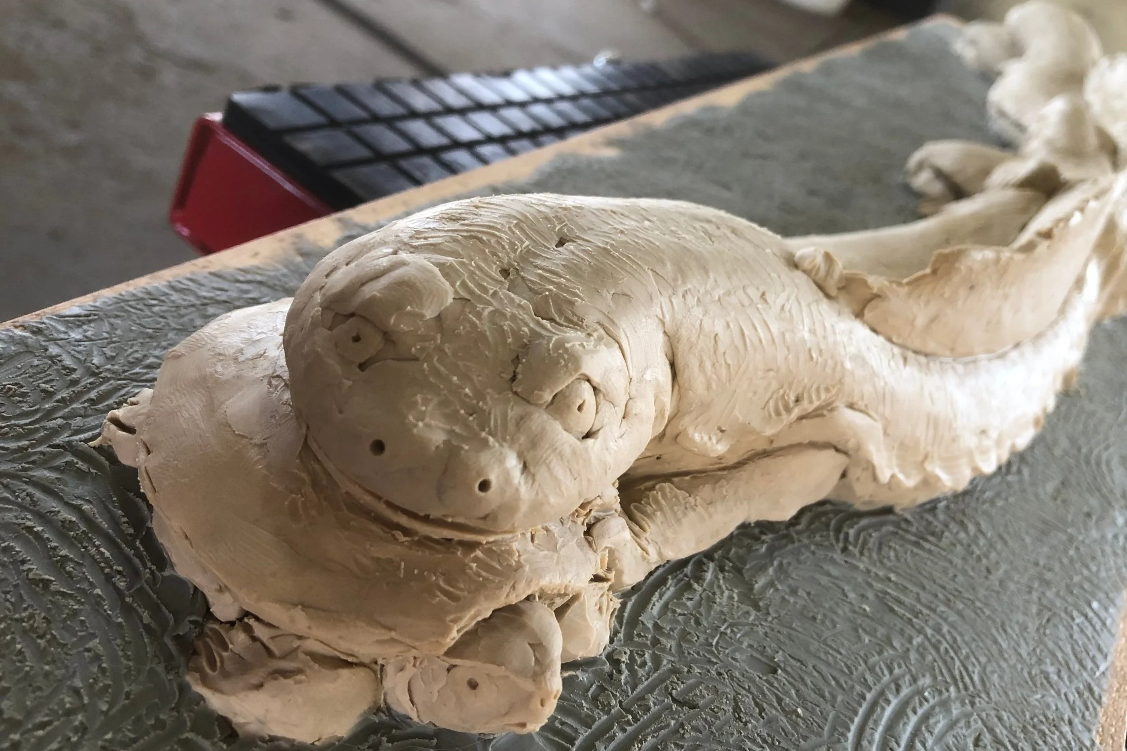 hellbender2.jpg