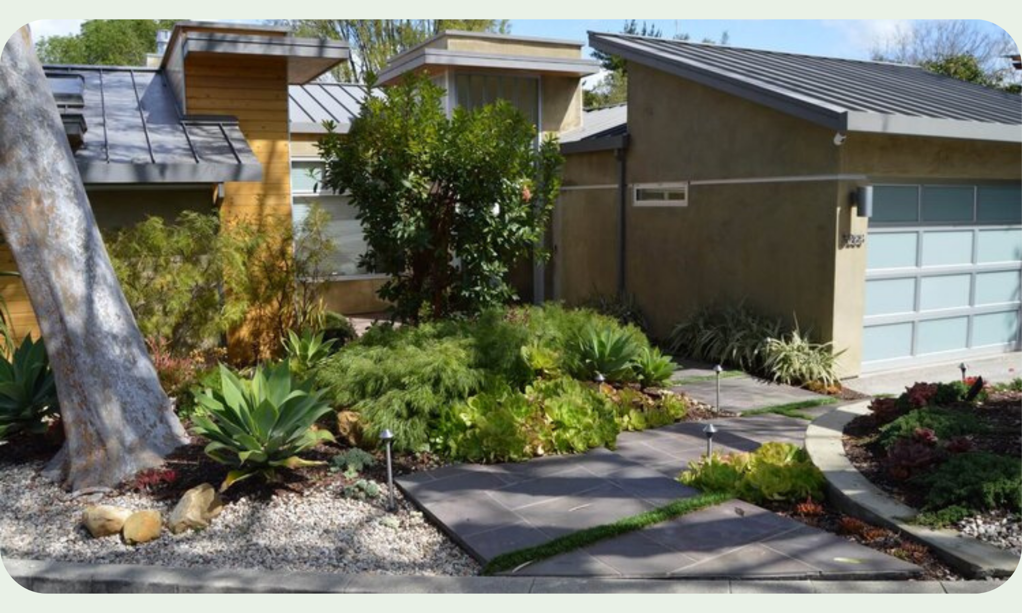 Landscape Company & Contractor in Los Angeles, CA