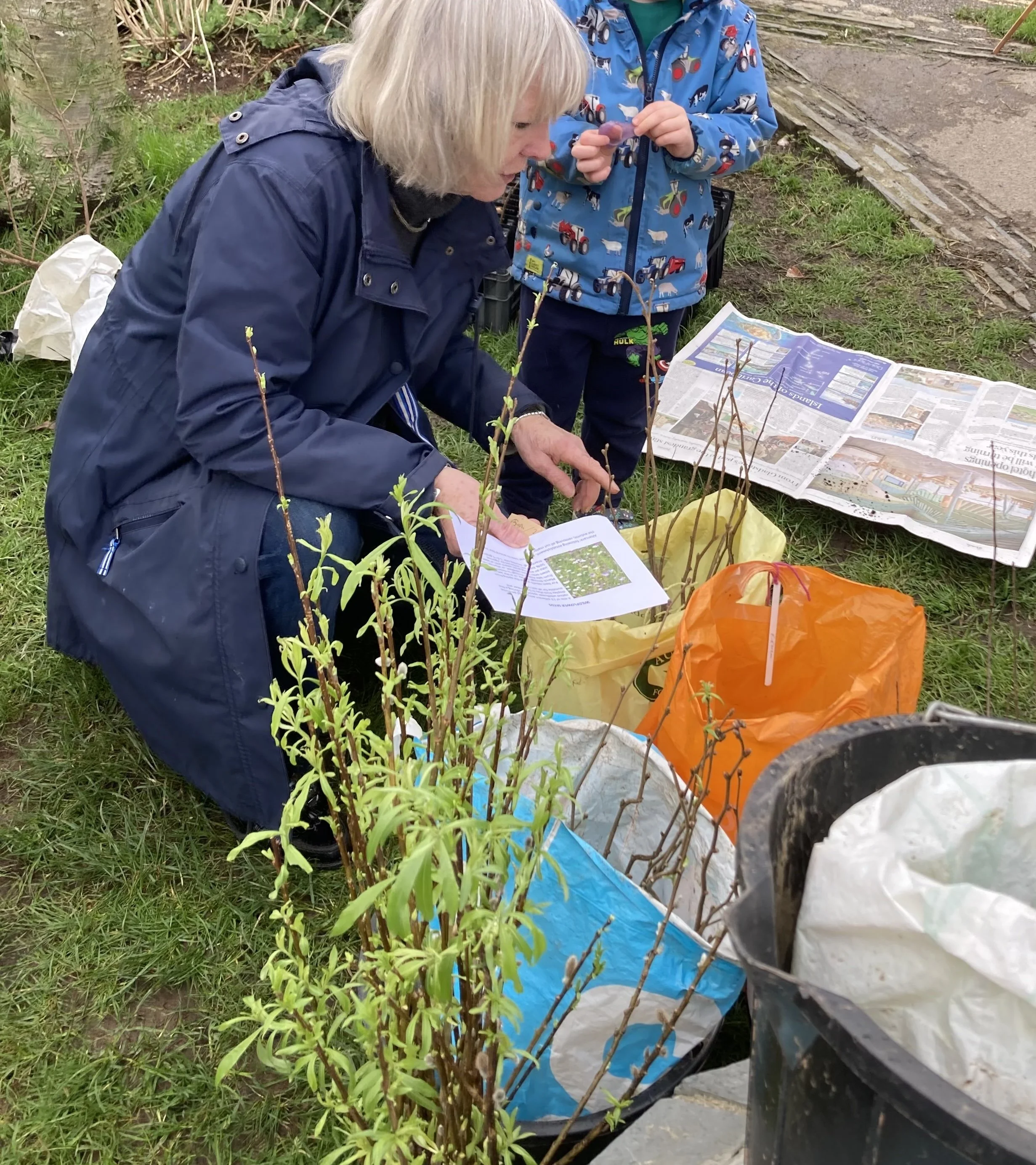 Native tree seedlings give-away