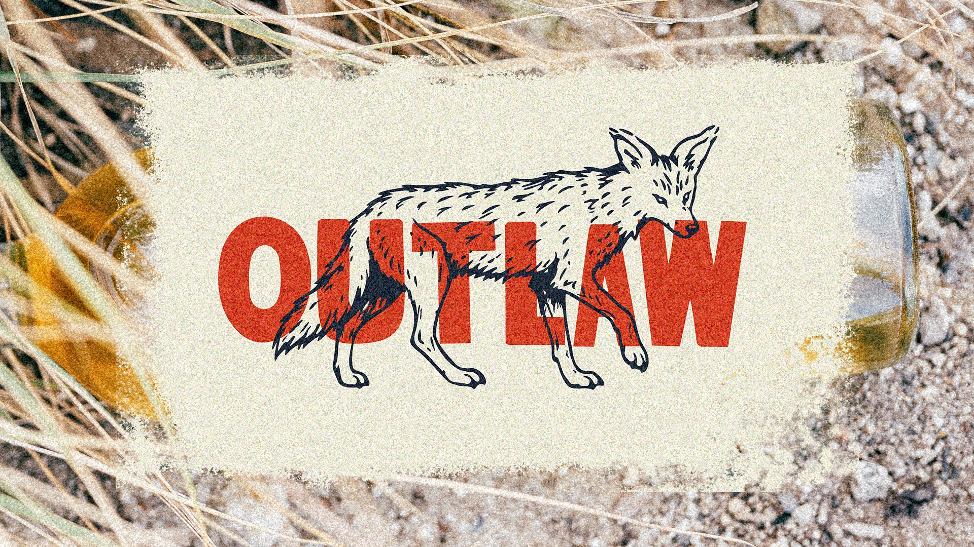 outlaw4.jpg