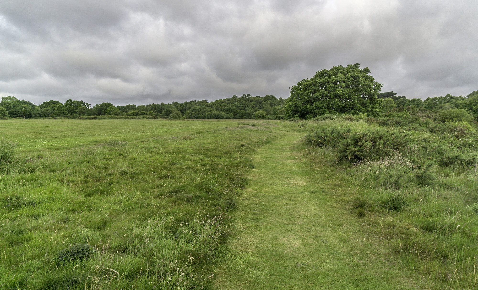 Parks and Open Spaces — Lymington and Pennington Town Council