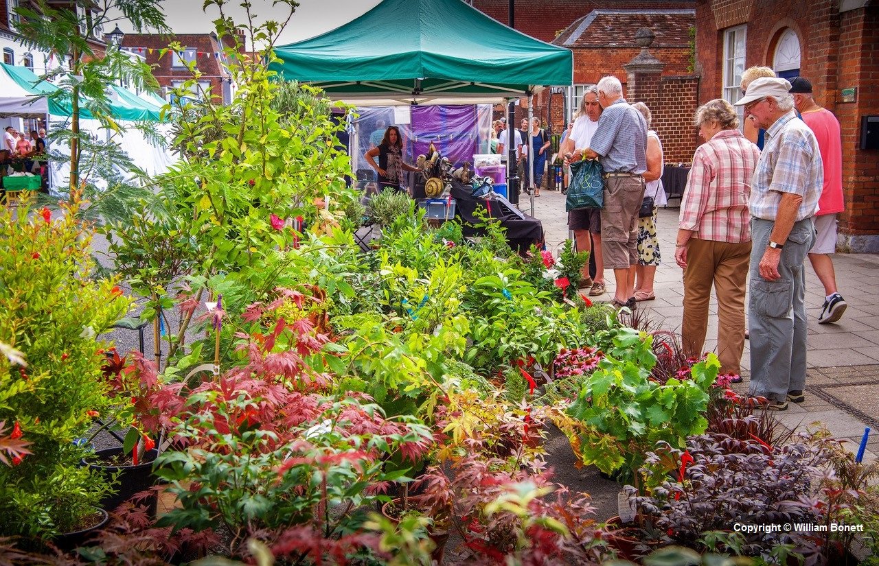 COPYRIGHT AT BOTTOM - plant stall.jpg