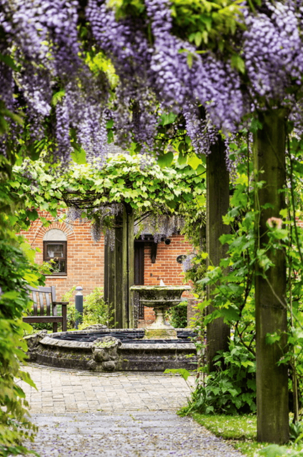 St Barbe Open Gardens 2026