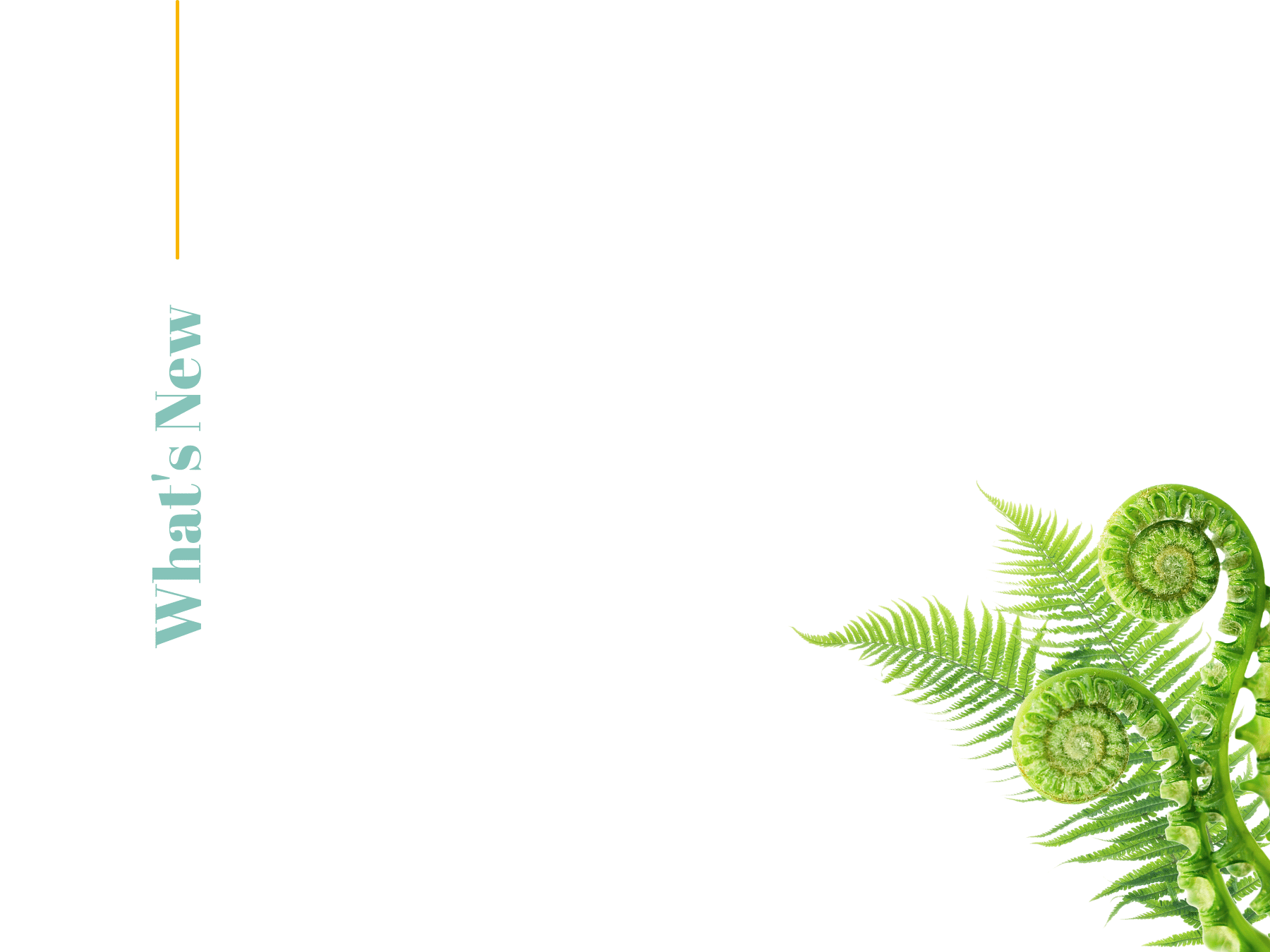 what's new banner fixed.png
