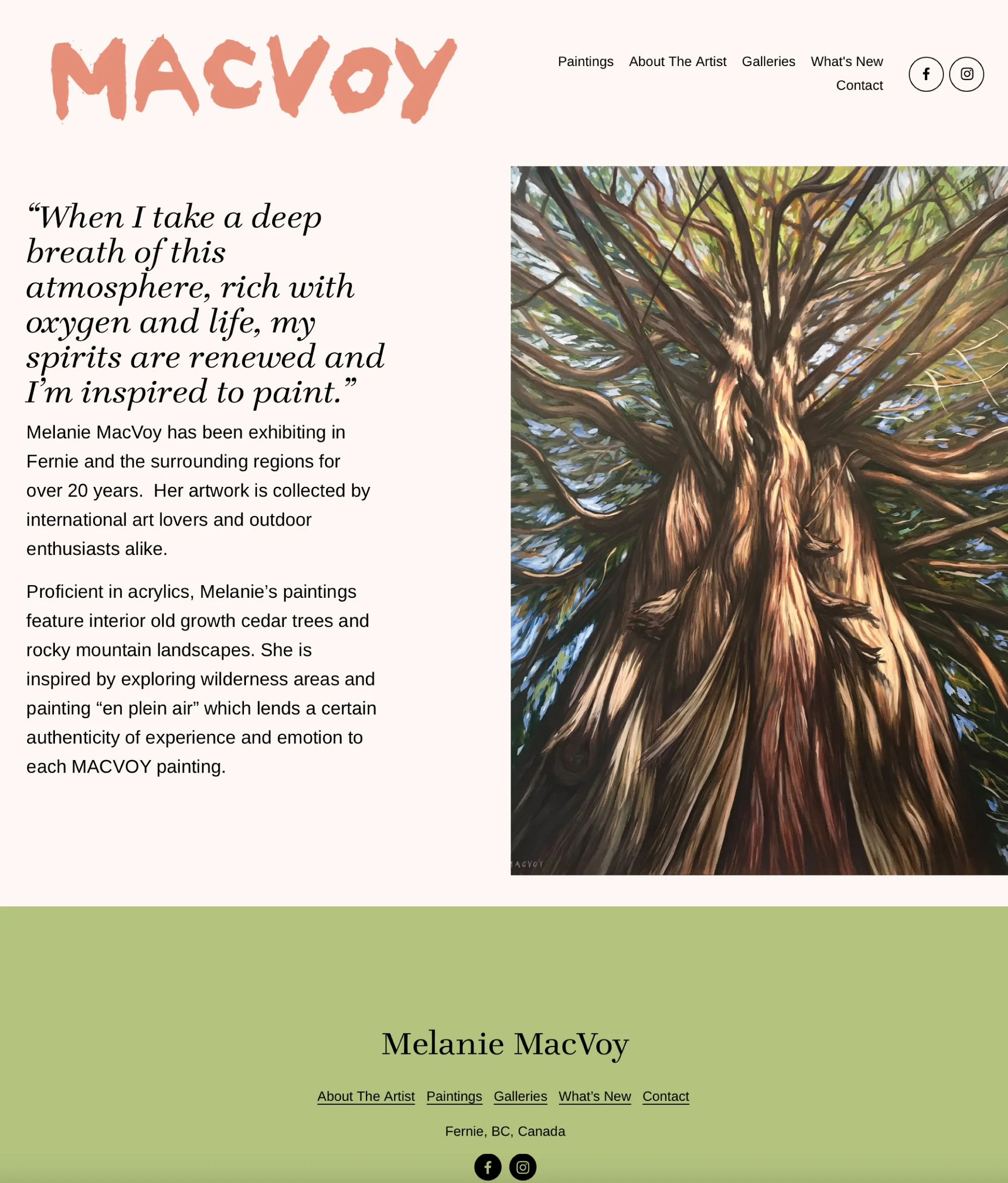 Melanie MacVoy artist, contemporary landscape painter in Fernie, BC - website design and build using a simple and clean Squarespace template design.