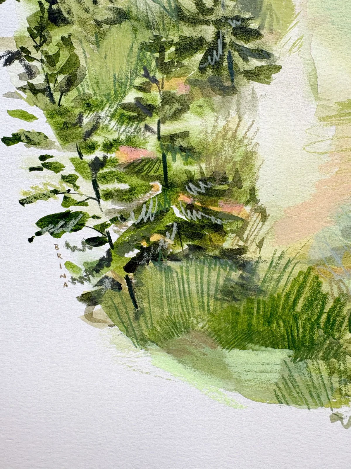 Canadian artist Brina Schenk's painting signature of her mixed media artwork