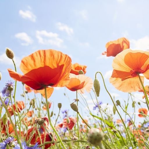 7 Songs to Lighten the Mood
