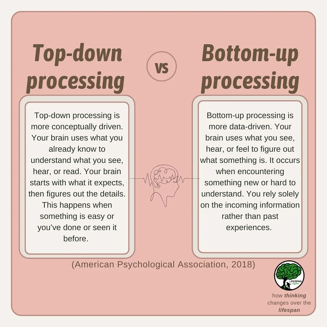 Top-down vs. Bottom-up 🧠🔍✨

How your brain makes sense of the world &mdash; experience vs. real-time!