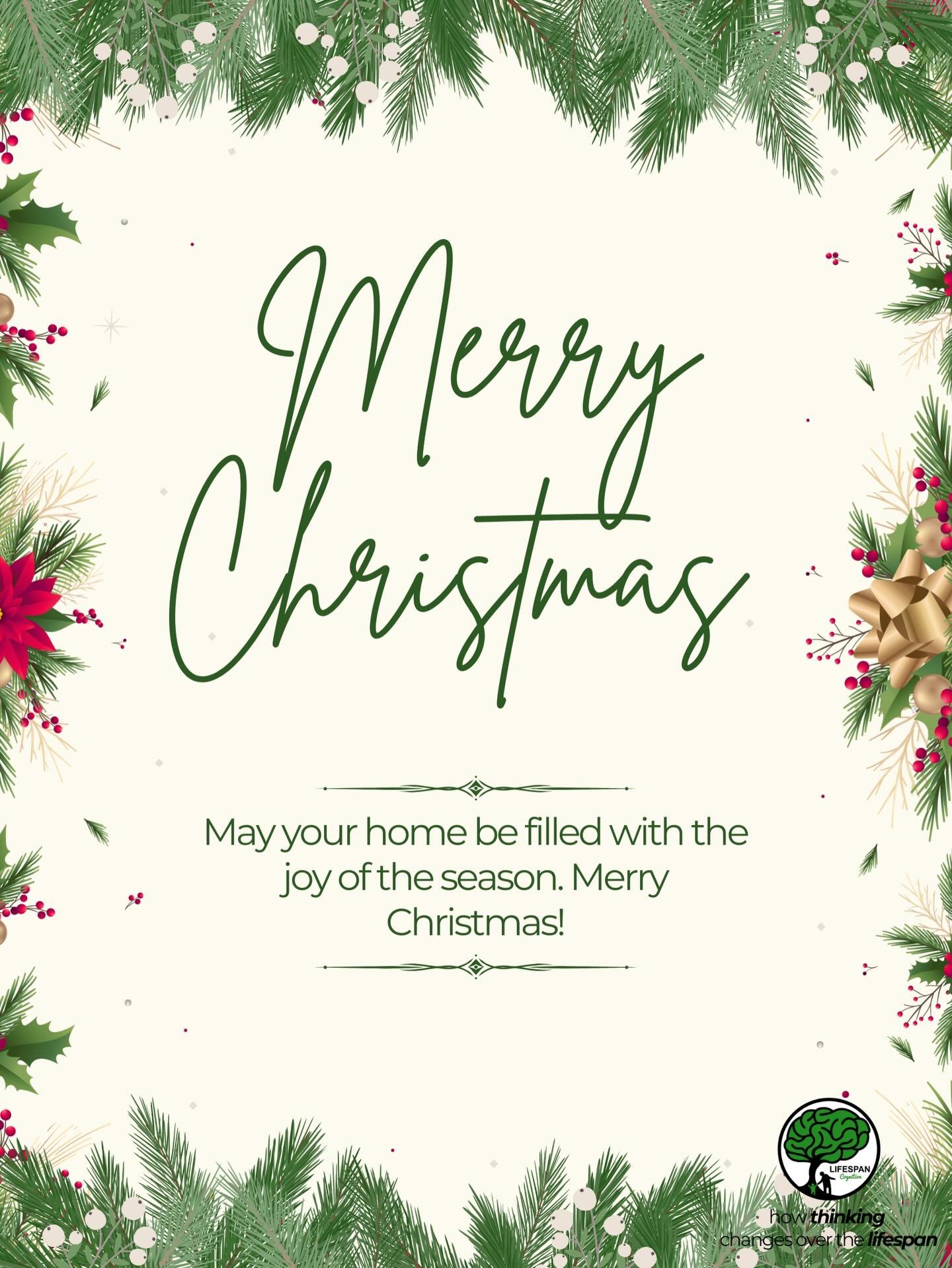 Merry Christmas from the Lifespan Cognition Lab! 🎄