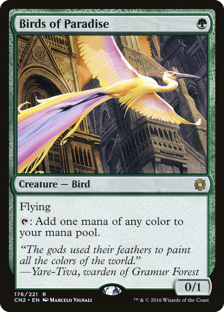 cn2-176-birds-of-paradise.png