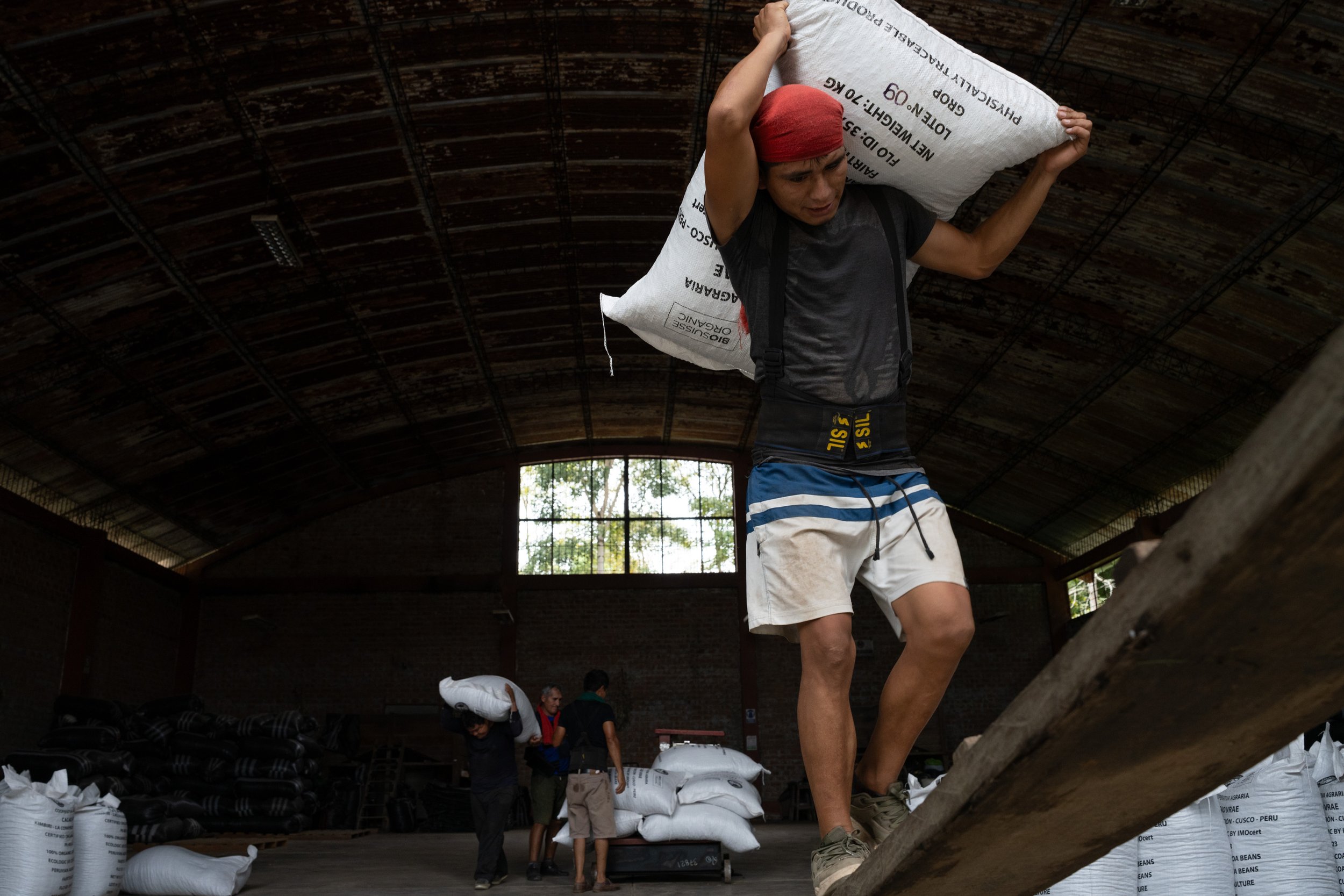 Alfredo Caylano carries a 70kg bag of organic, fair trade cacao into a truck that will travel two days to the port in Lima where it will be loaded onto a container ship and sent to Europe.
