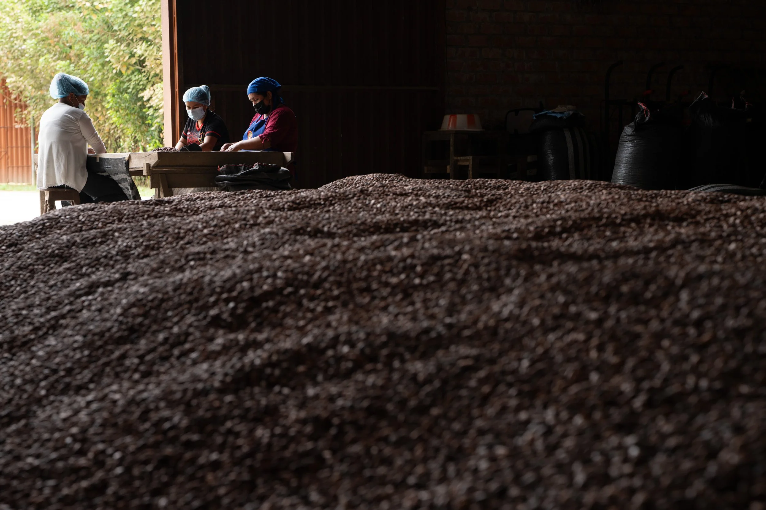 Women sort cacao beans beside a huge pile of beans that are ready for export at Cooperativa Cacao VRAE in Kimbiri, Peru.