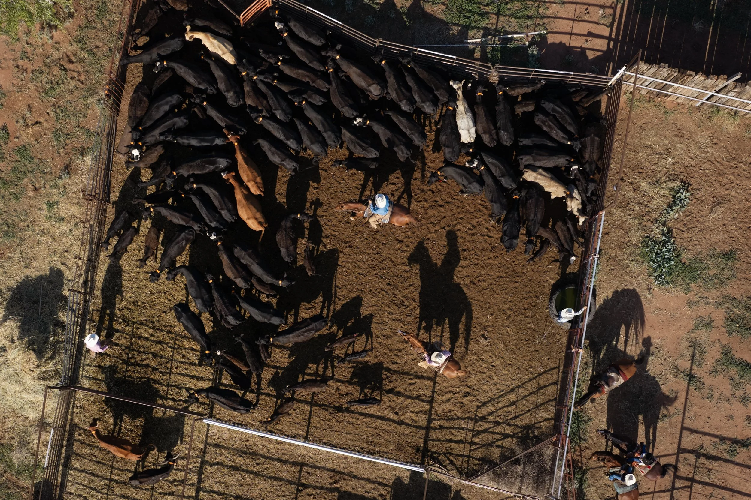 20260729_JimArmendariz_Drone_02074.jpg