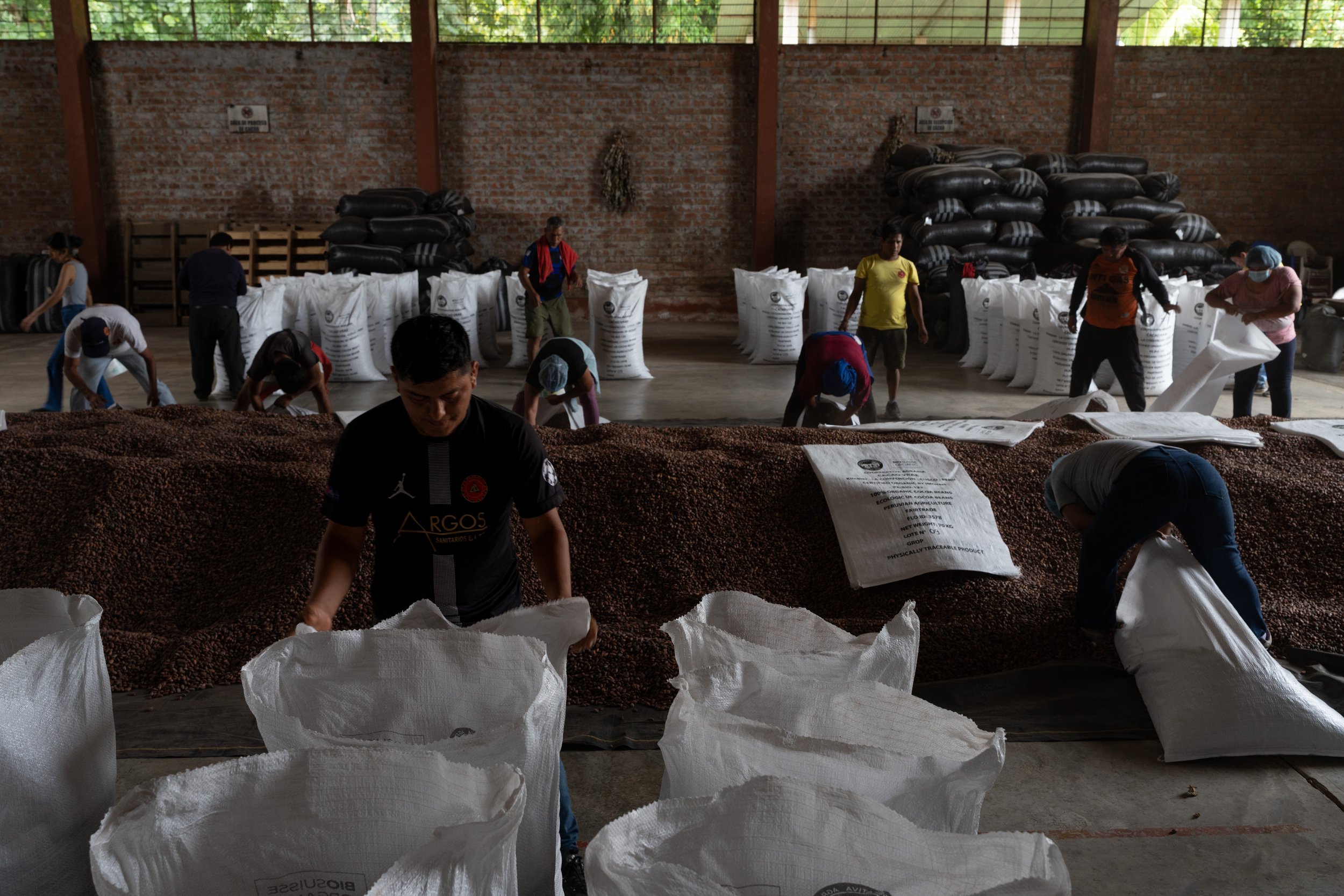 Workers of Cooperativa Cacao VRAE fill bags with organic, fair trade cacao that has been grown on small independent farms within the Cusco/Ayacucho valley of Peru. The Cooperative supports 274 associates with technical and logistical support, sales, 