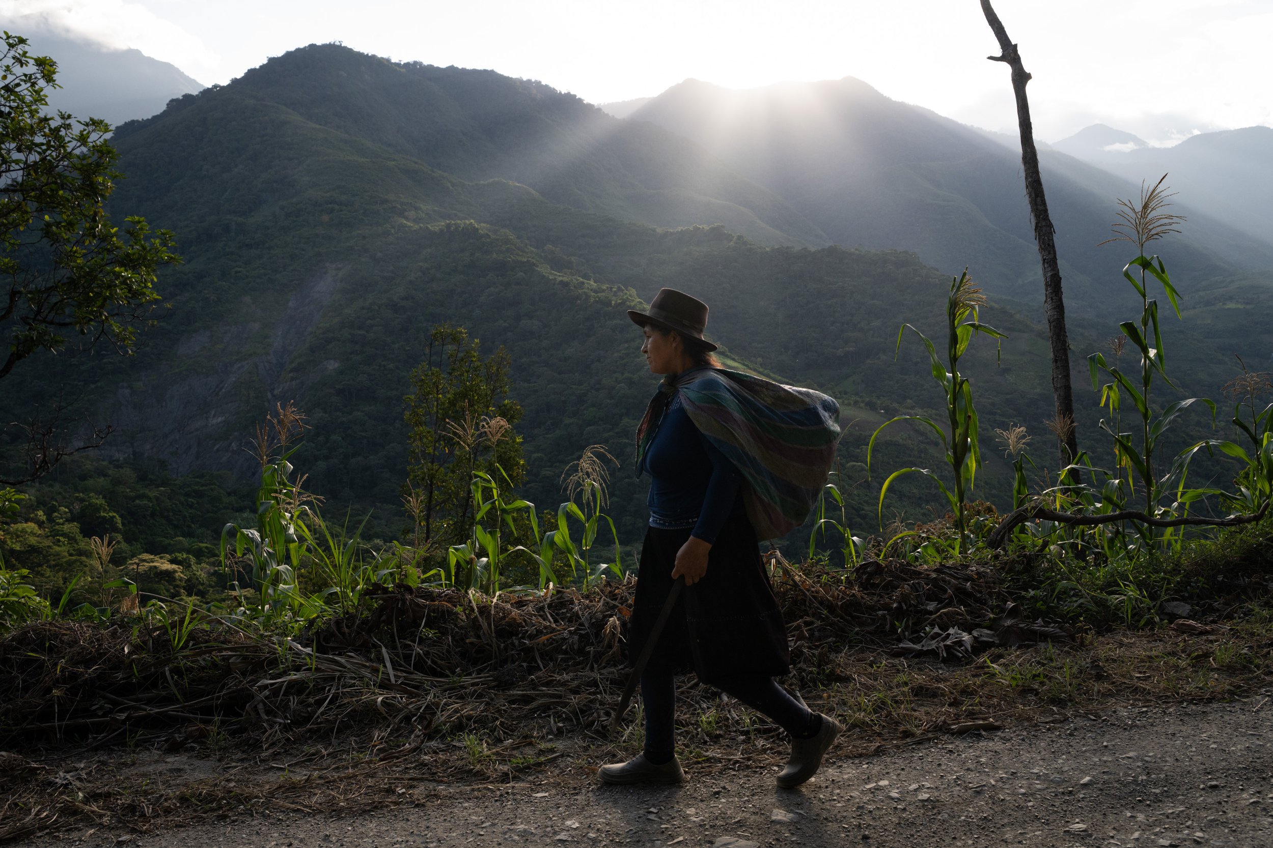 Mirtha Huaman Garay walks home from one of their cacao plots against the backdrop of the Peruvian Andes Mountains.