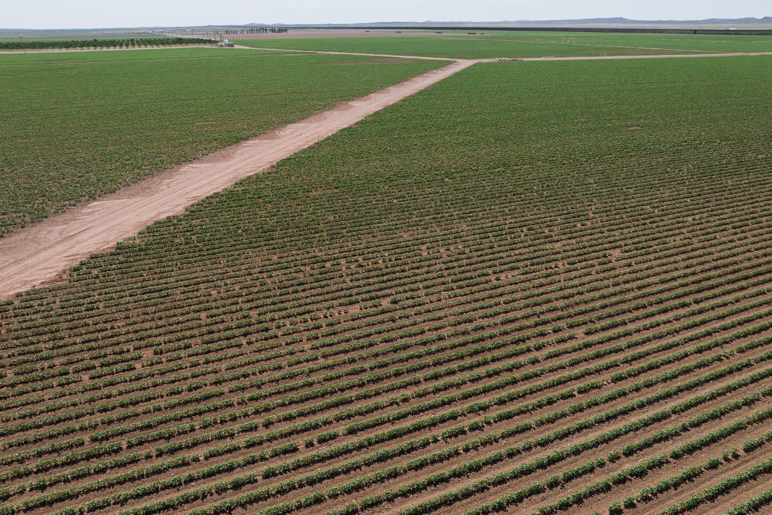 20260611_JamesJohnson_Drone_01167.jpg