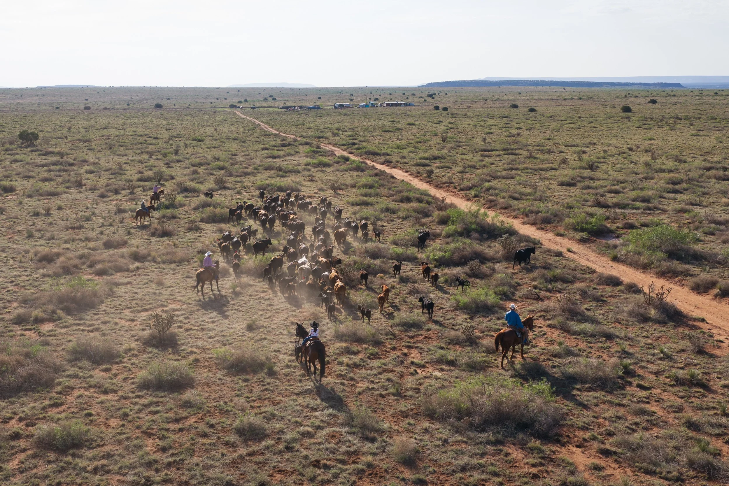 20260729_JimArmendariz_Drone_02014.jpg