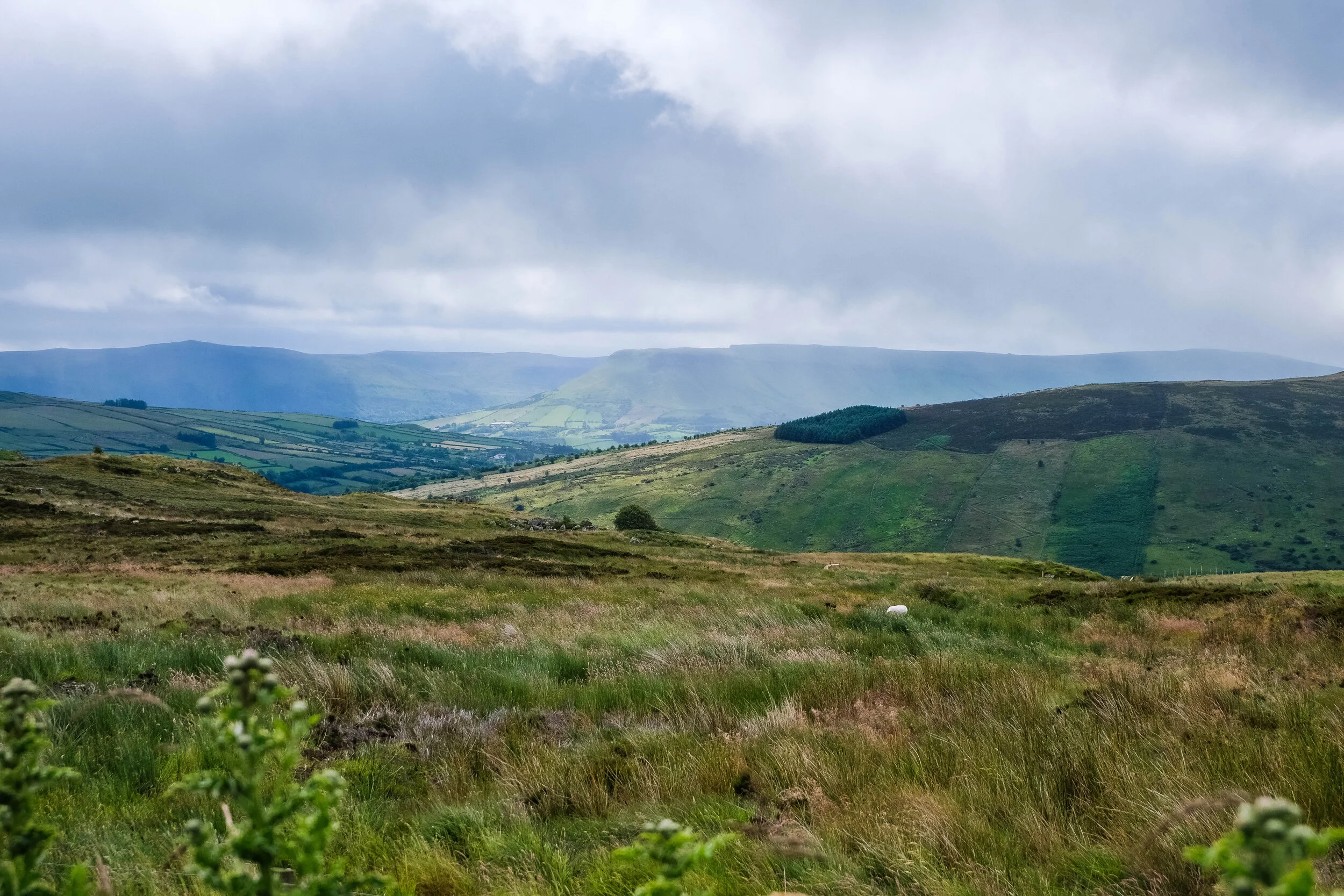 NorthernIreland-176-NorthernIrealand.jpg