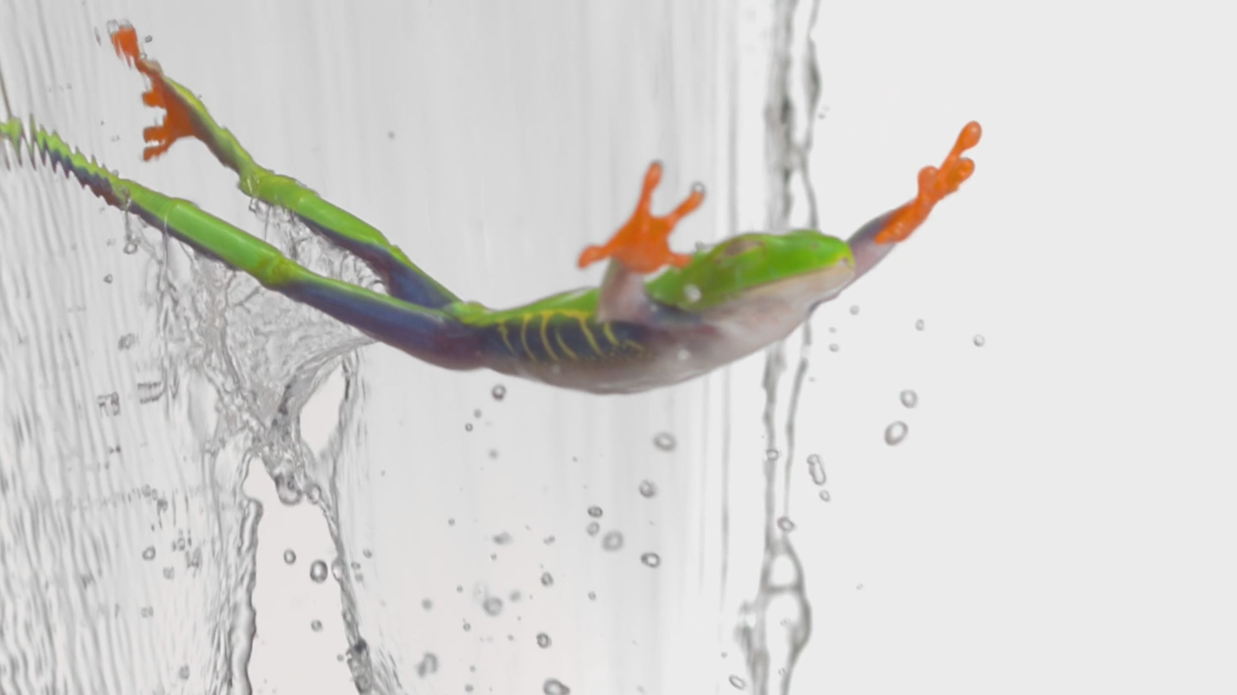 TELUS - Optik: Customize