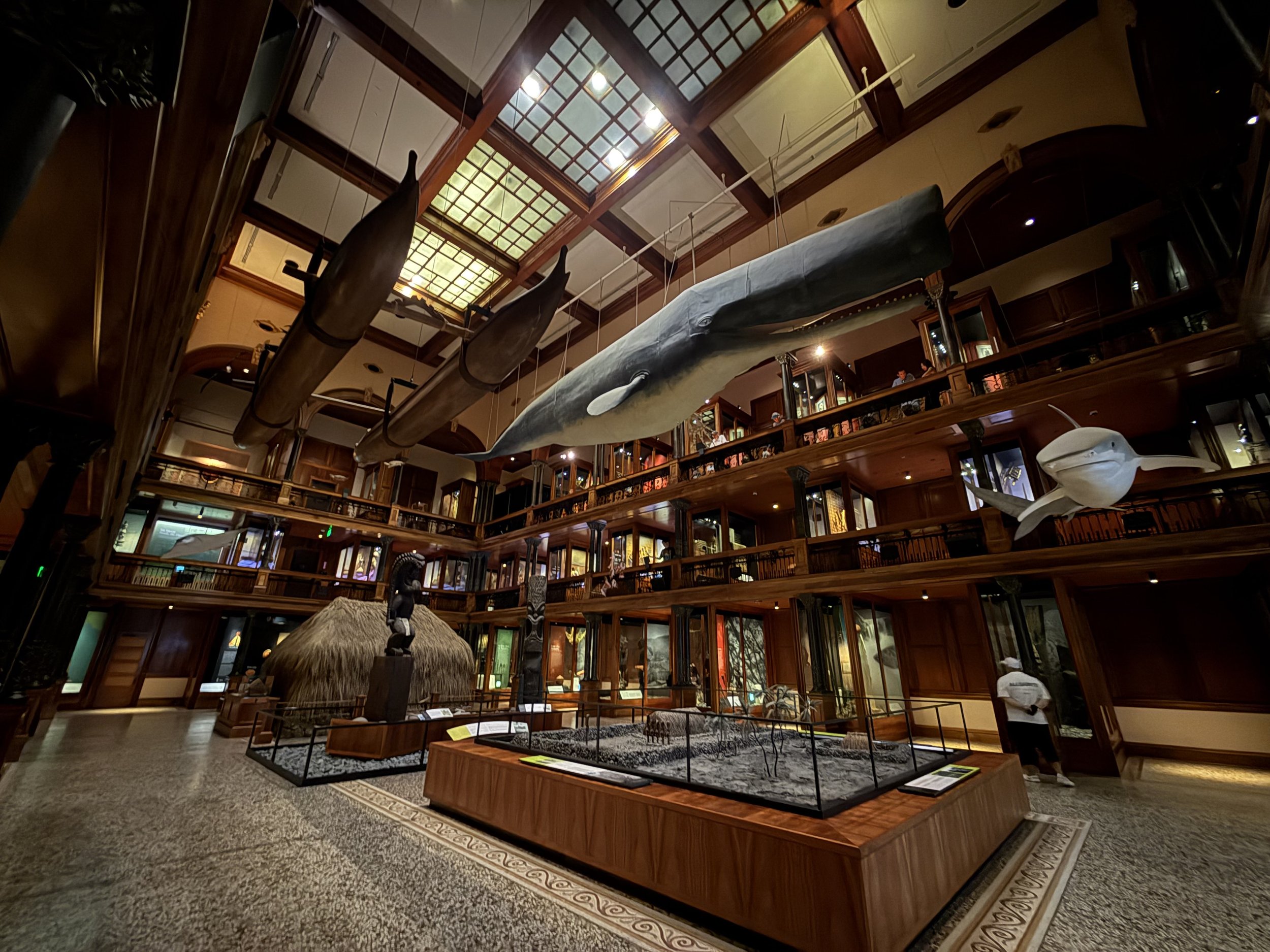 Whales, gods, and the Bishop Museum after dark