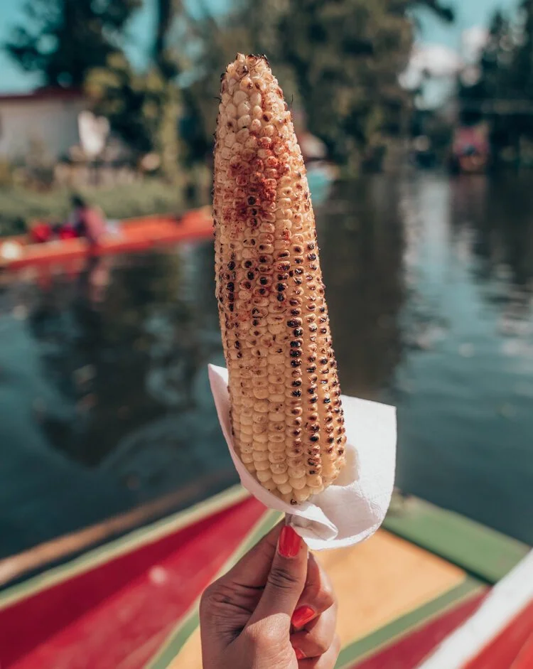 corn.jpg