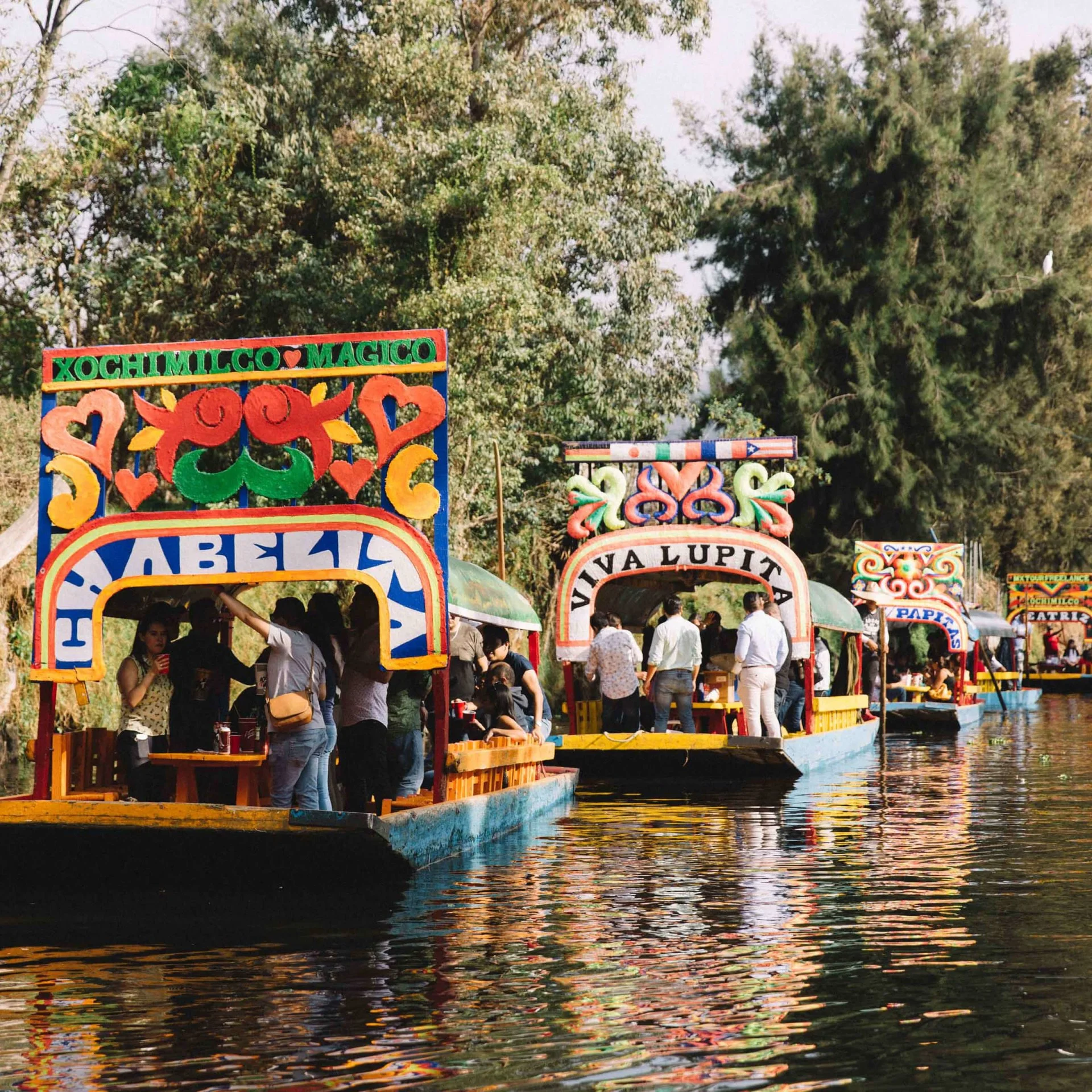 Xochimilco Canals.jpeg