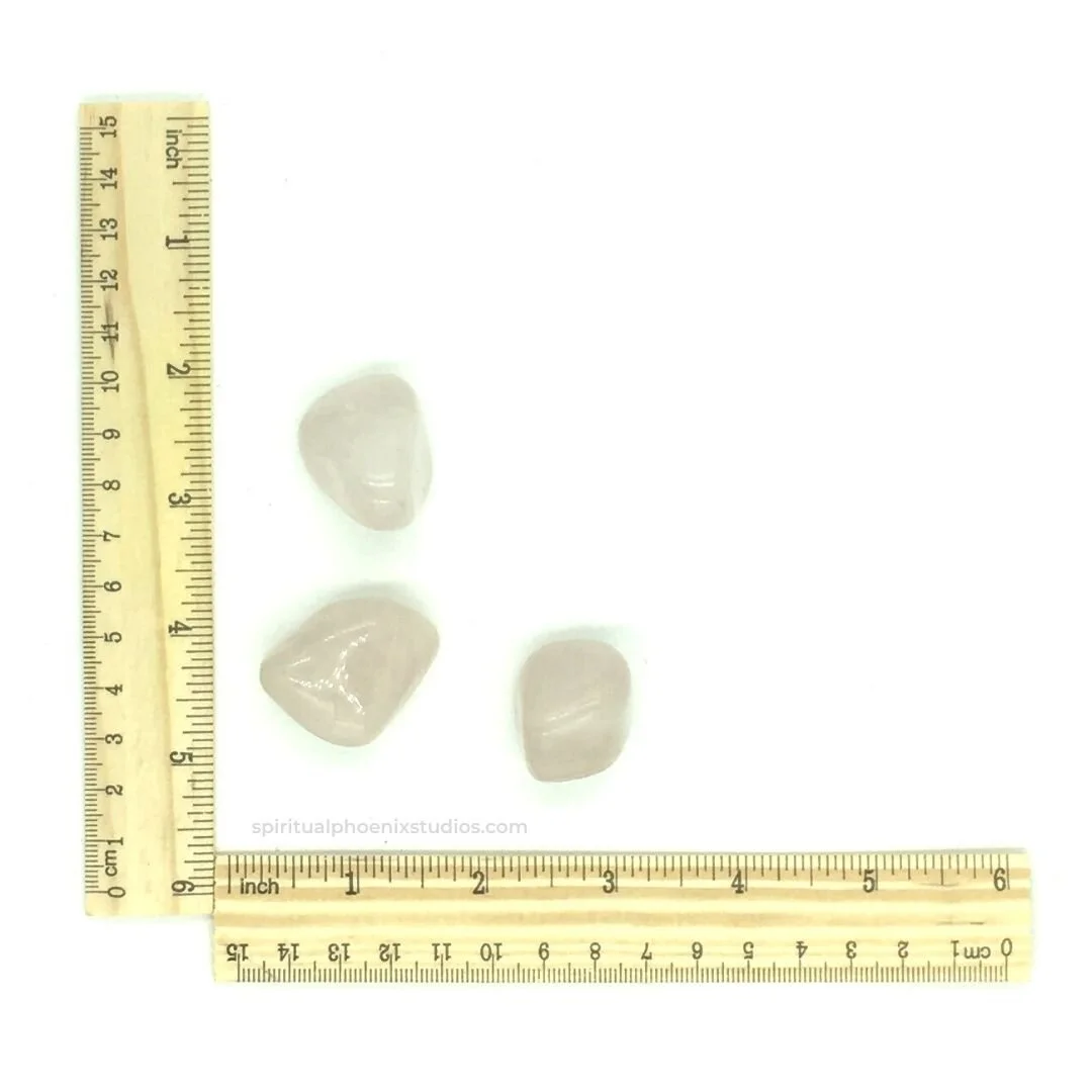 Scale image of Tumbled Rose Quartz