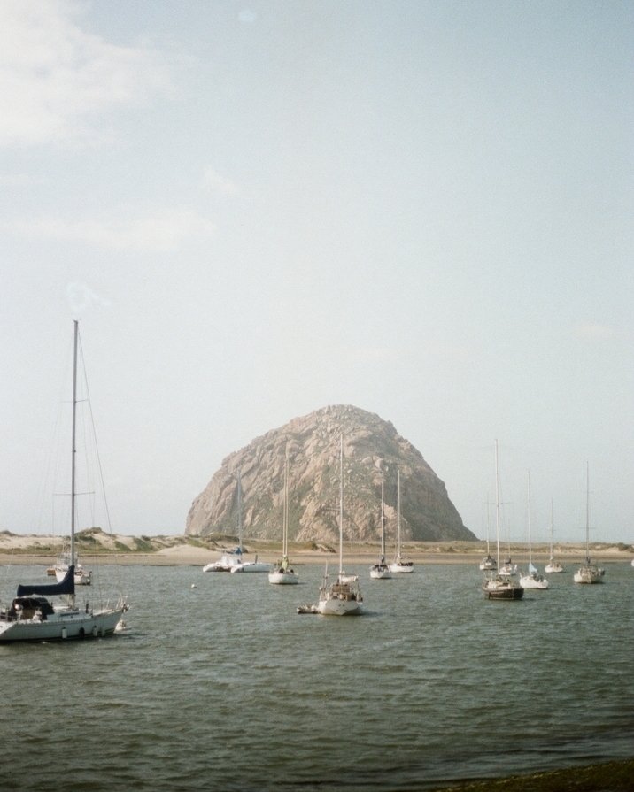 Morro Bay on film featuring a hungry seagull. 

#shootfilmmag #canon #filmphotography #loadfilm #35mm #morrobay #slophotographer #visitcalifornia