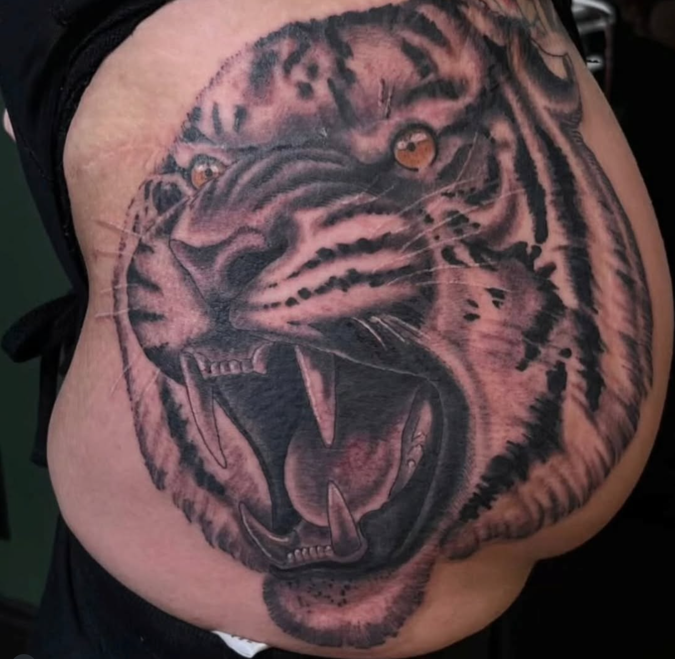 tiger by Dennis Escalante