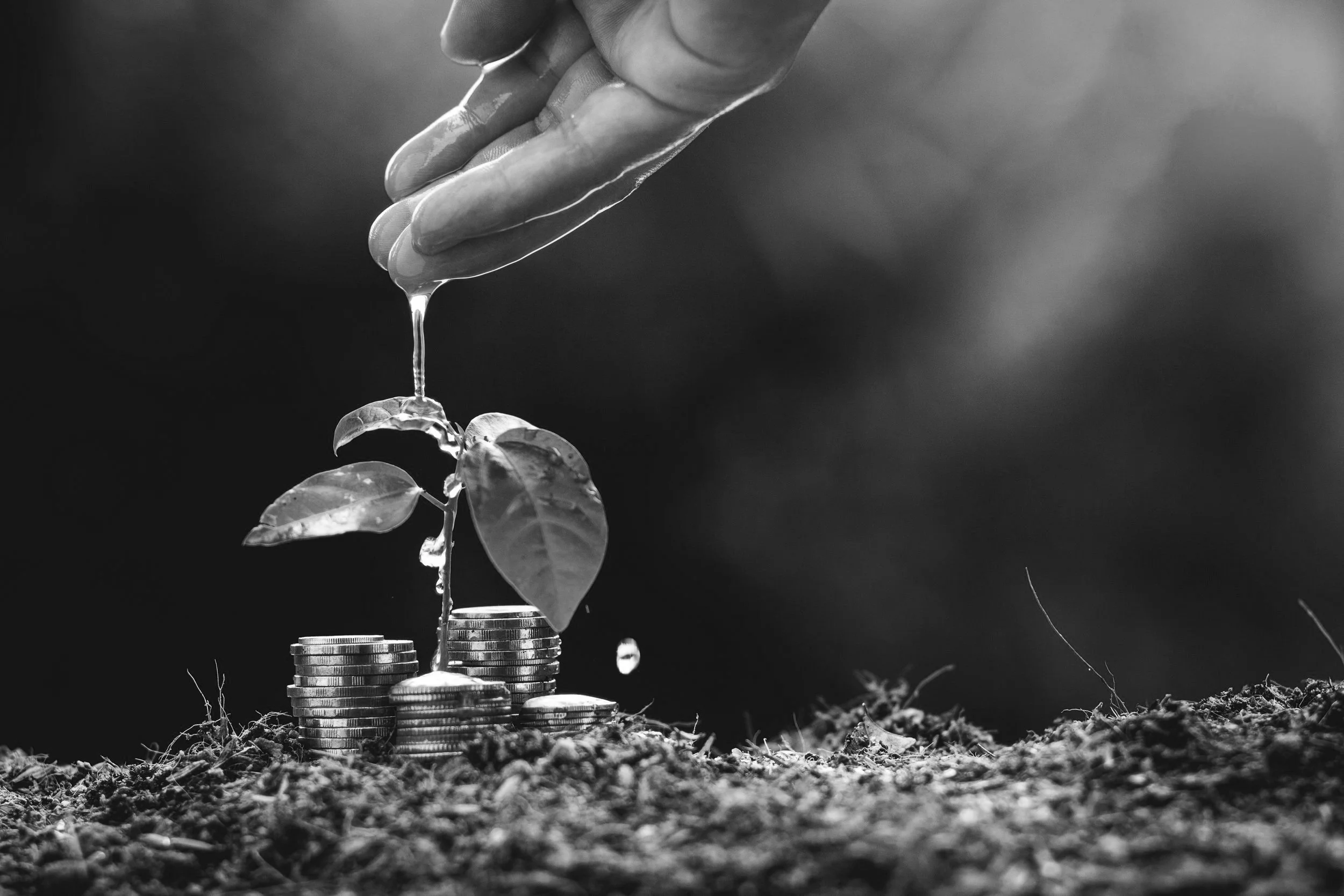 Hand watering a small plant growing from stacked coins, symbolizing growth and investment.