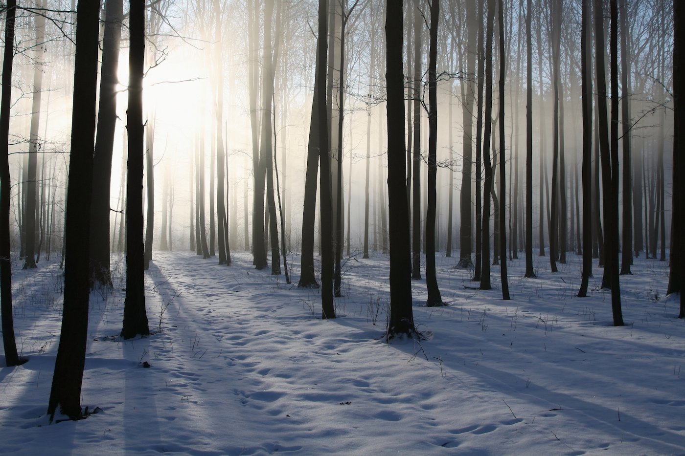 Today Is the Longest Night of the Year — and That Matters More Than You Think