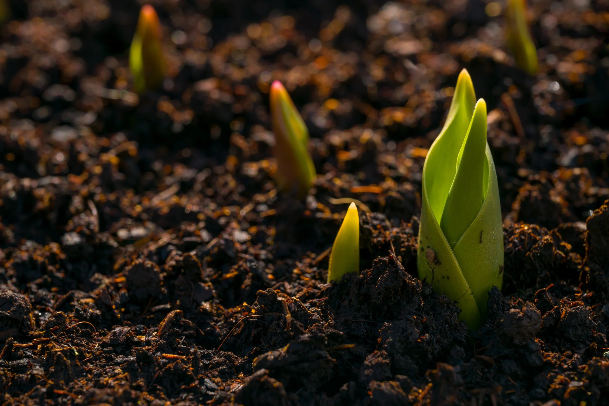 When Emergence Trembles