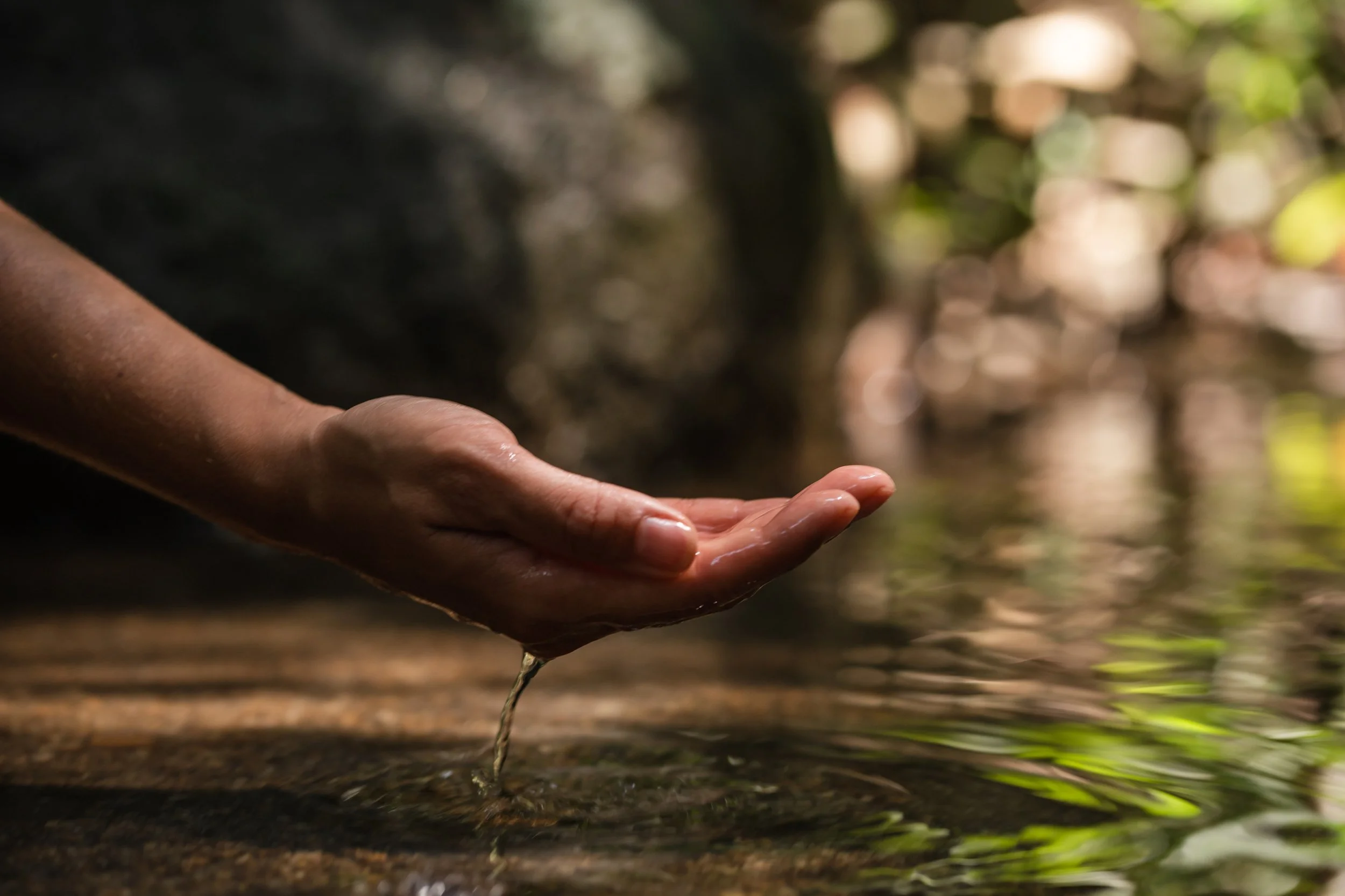 Hands gently holding water in a forest stream, symbolizing resilience, self-trust, and the capacity to navigate change.