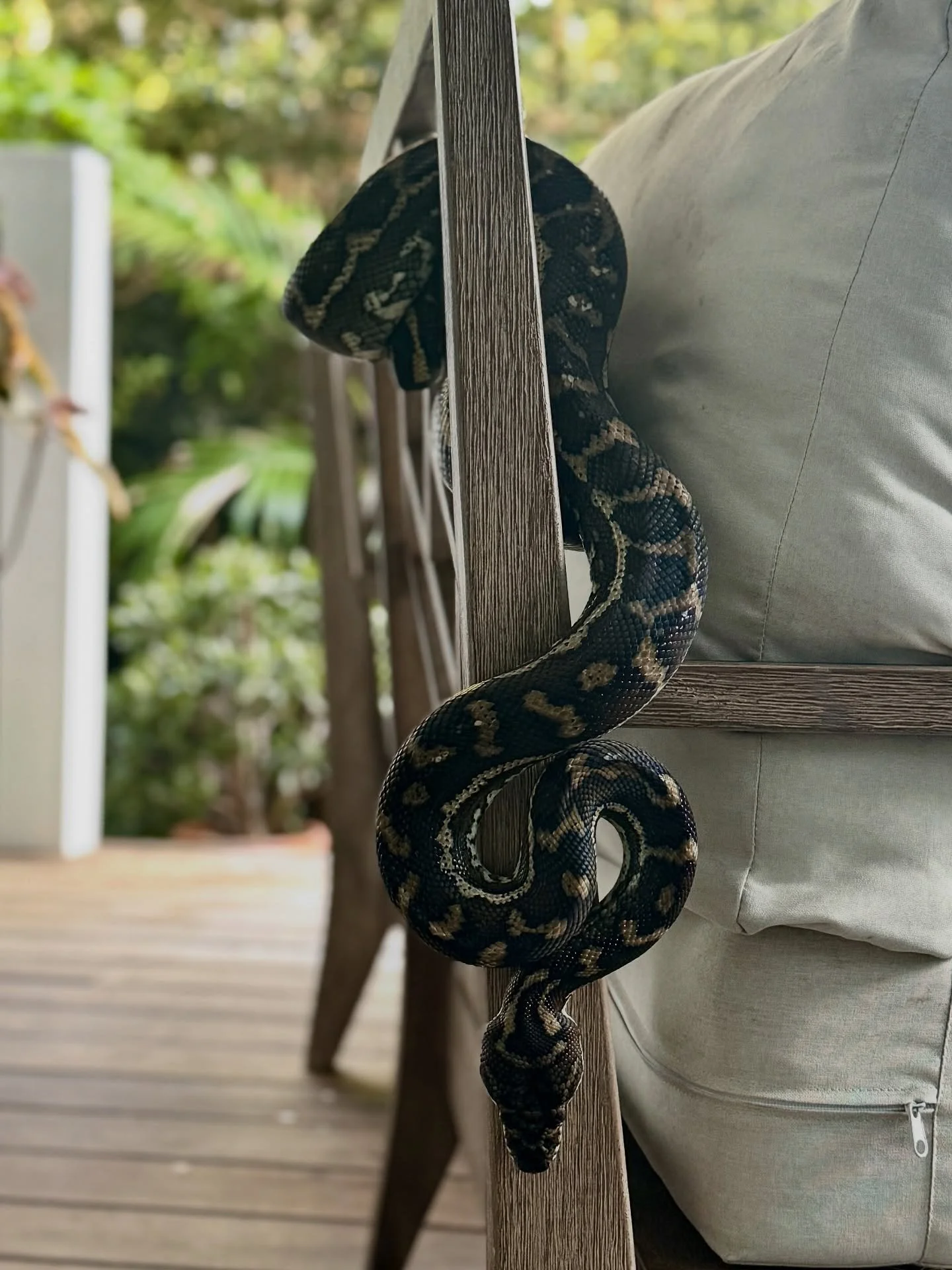 October brought Steve the snake to teach me some lesson, it brought crystal clear waters and warm days, women gathering, a heart felt retreat, it brought sweaty Vinyasa classes at @haum.space, many cups of tea, mentorship with @cloudhiddentea conclud