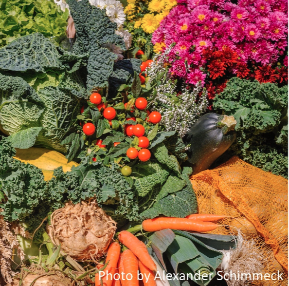 Mind Your Macros: Carbohydrates