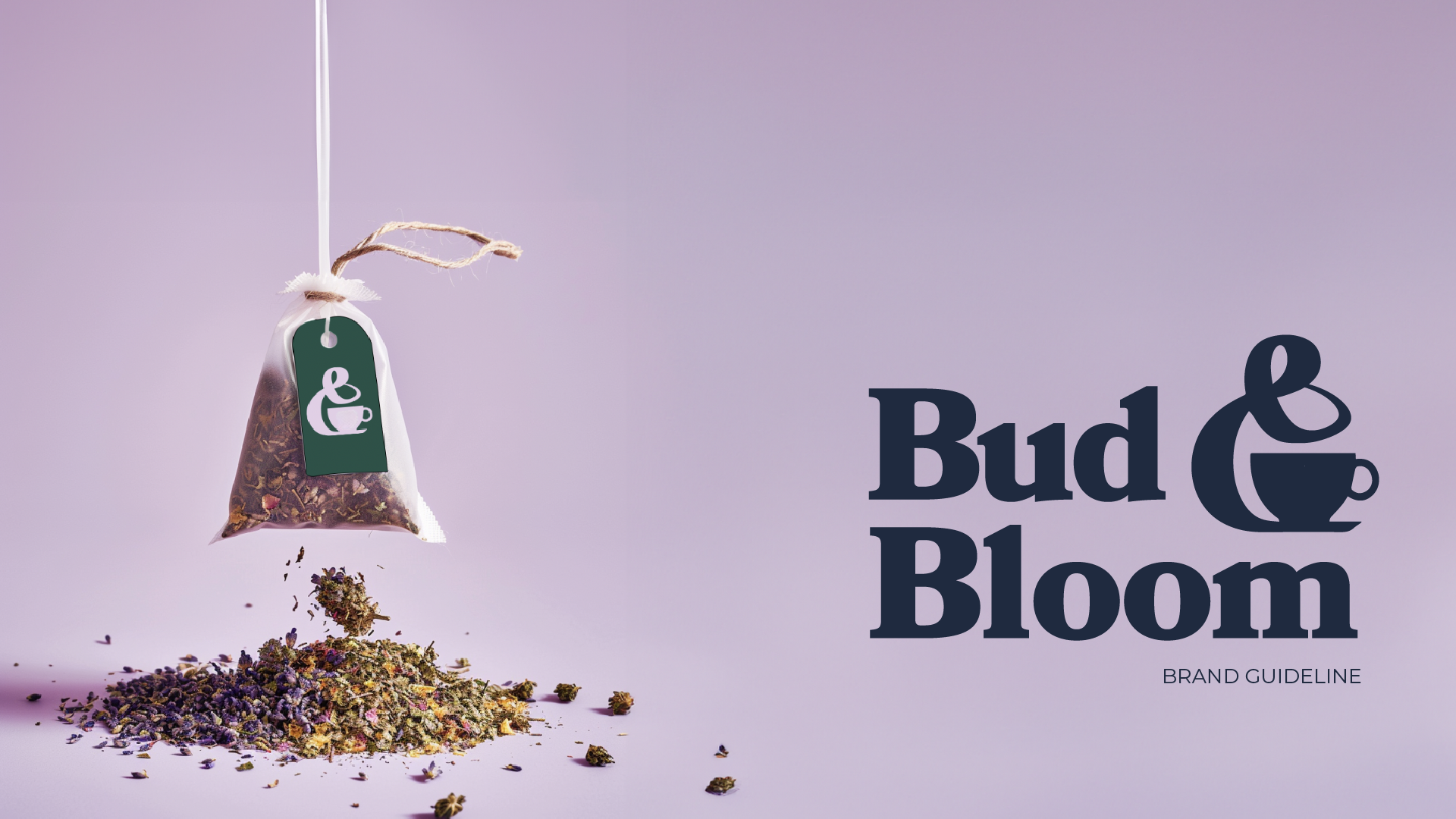 grand guideline-01.png