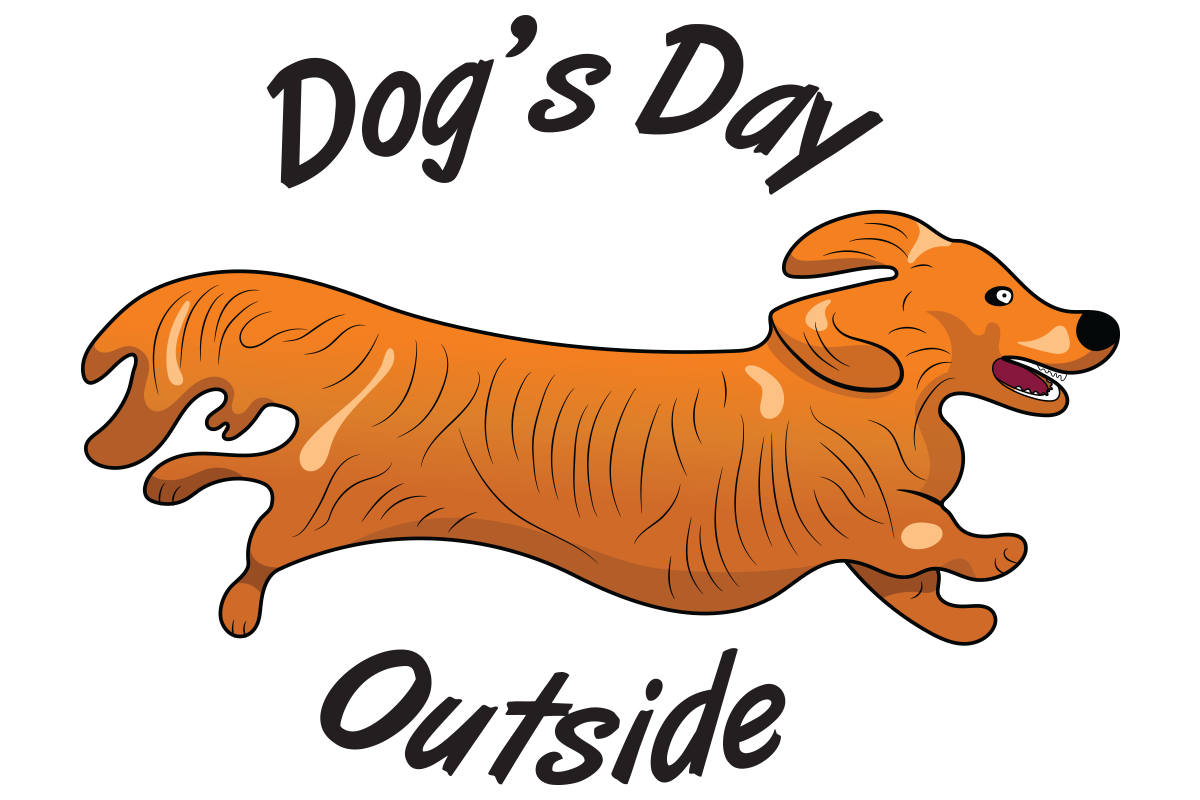 dog leads for outside