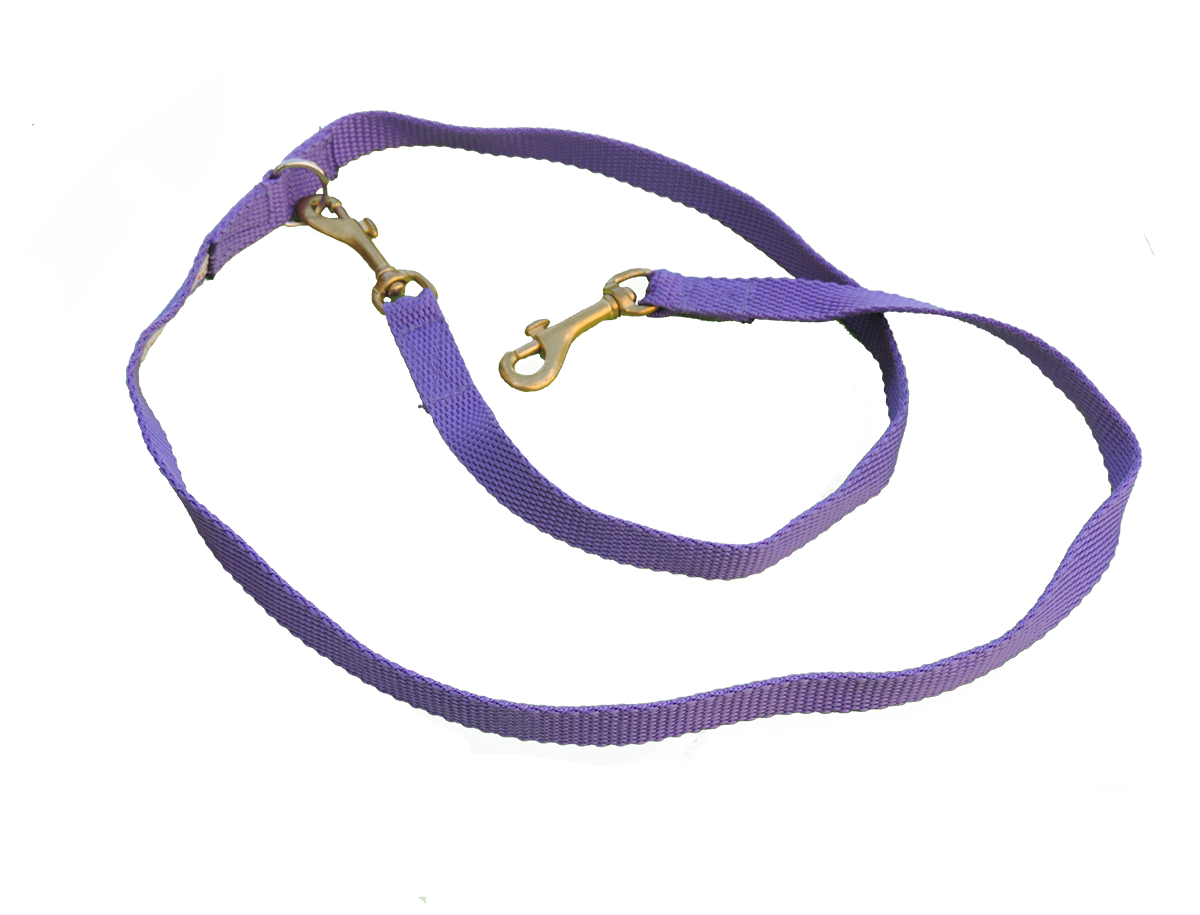 dog leads for outside