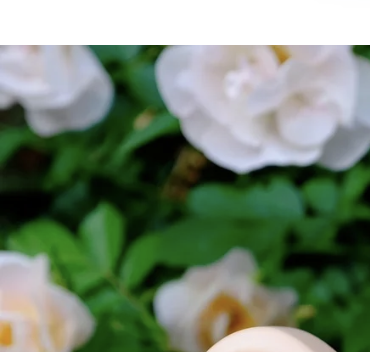 Screenshot 2025-08-20 at 12.38.34 PM.png