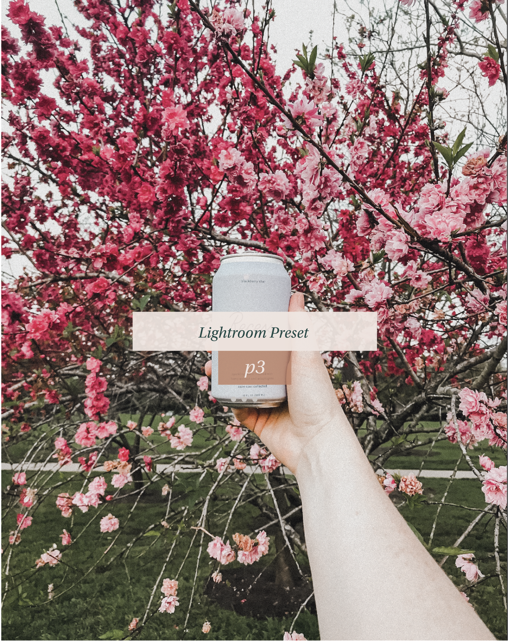 Lightroom Preset P3