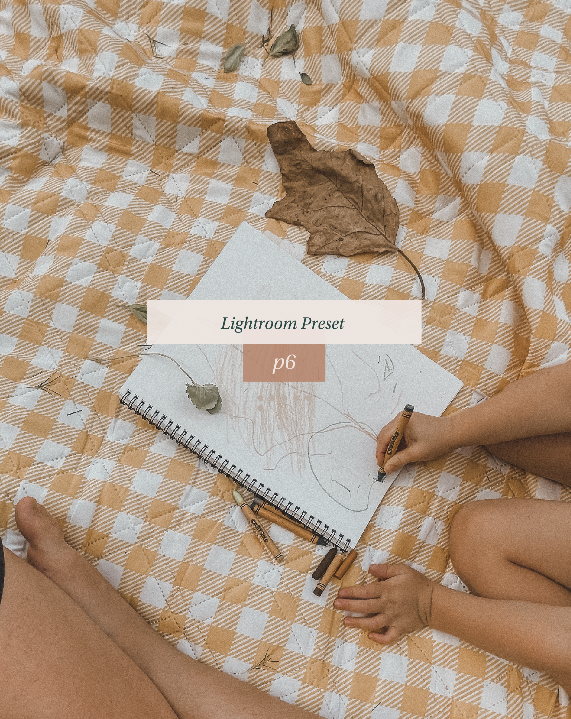 Lightroom Preset P6