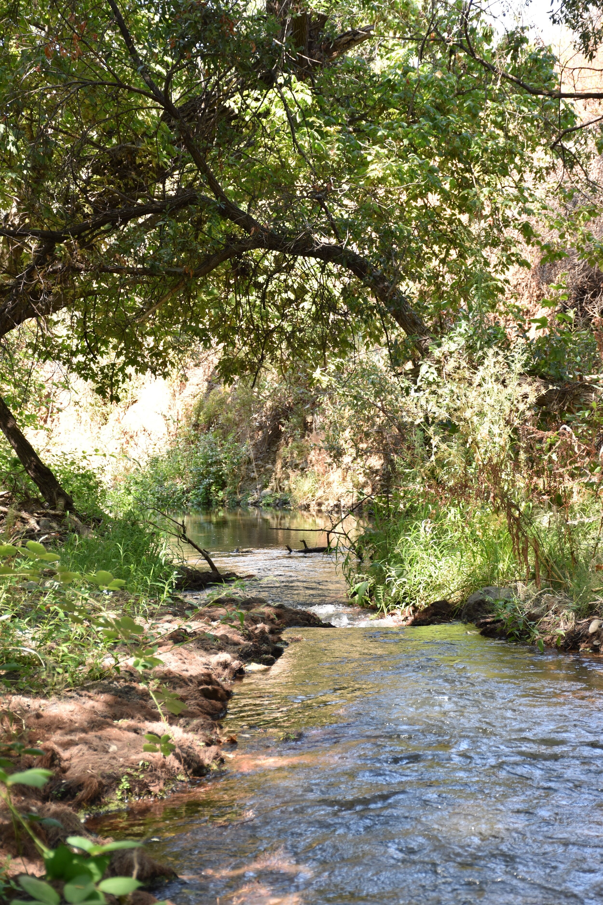 DSC_0403.jpg