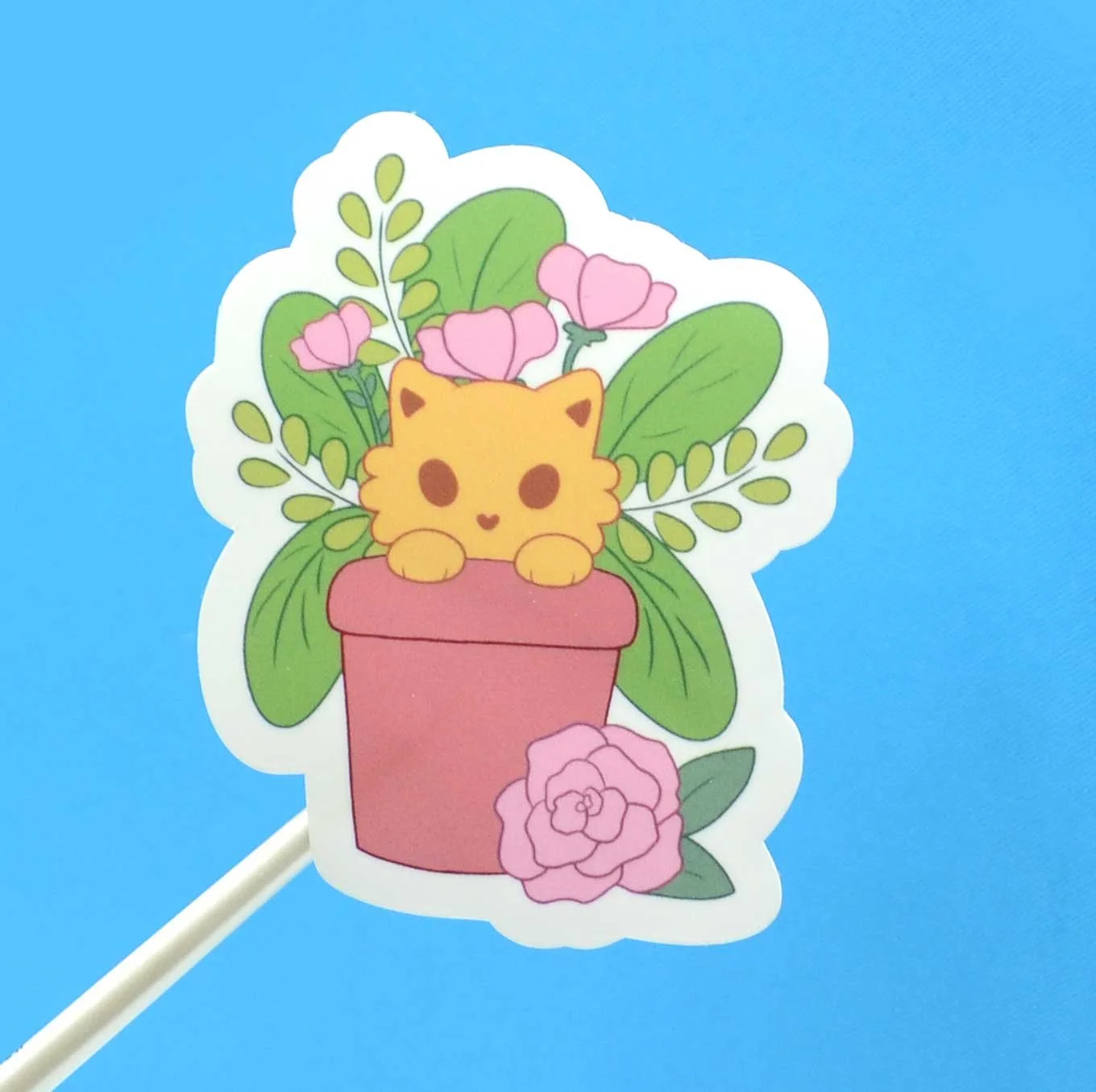 orange-cat-pot.jpg