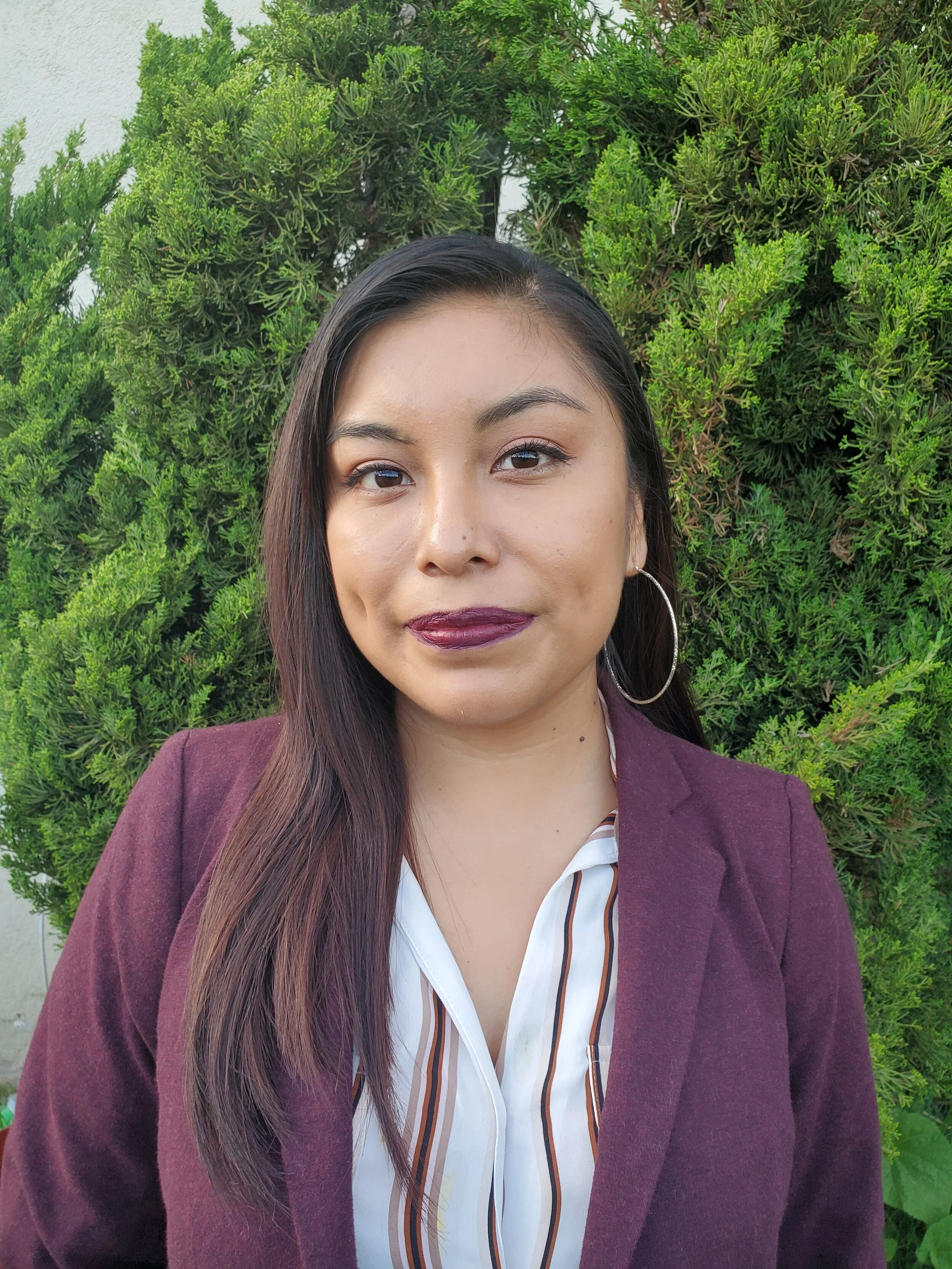 Our Team — Mental Health Advocacy Services