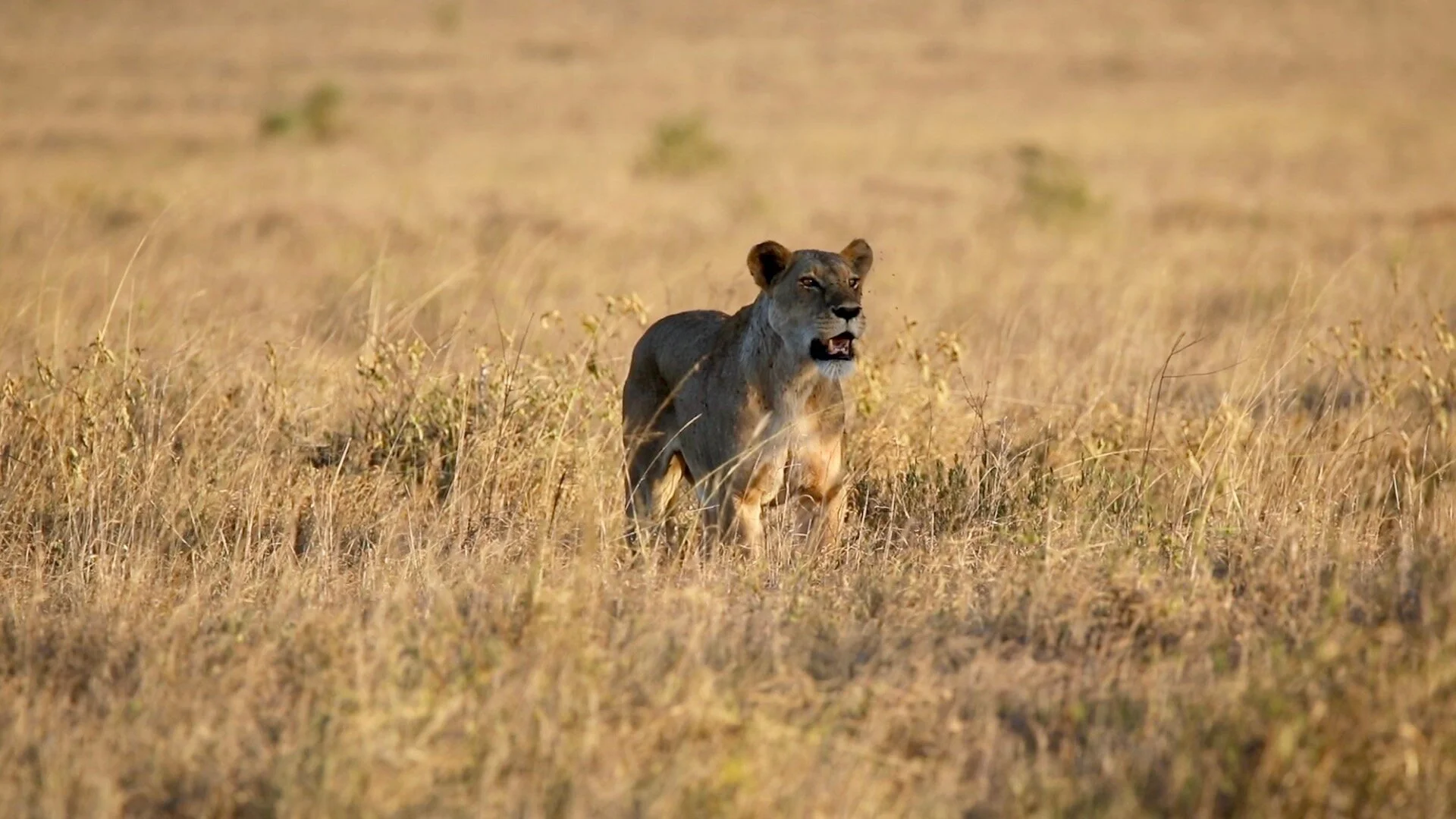 The Sanctuary (Kenya)